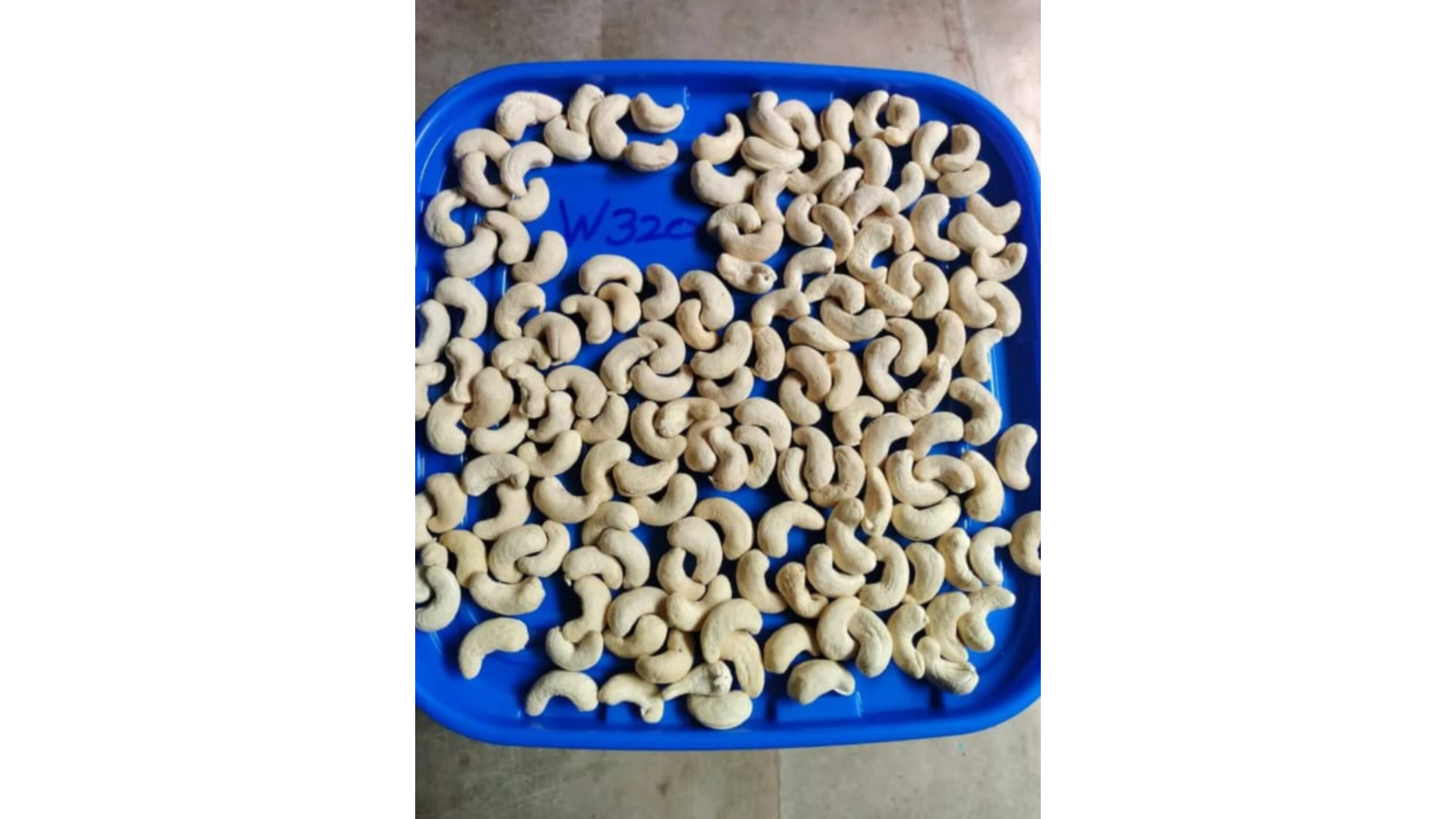 Cashew Nut