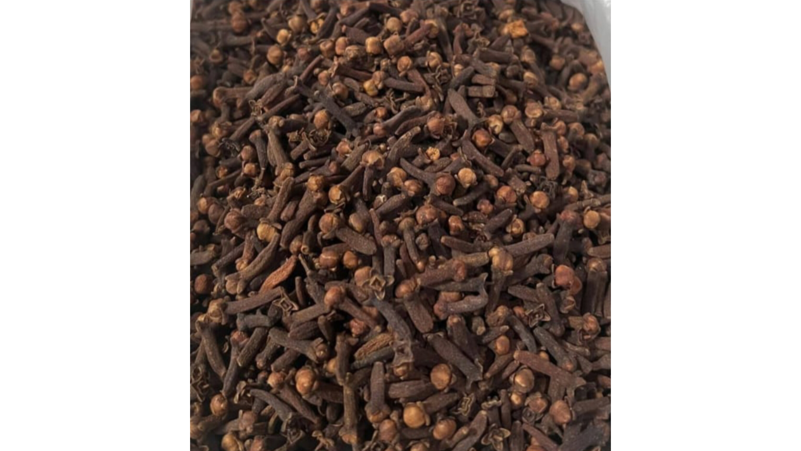 Clove