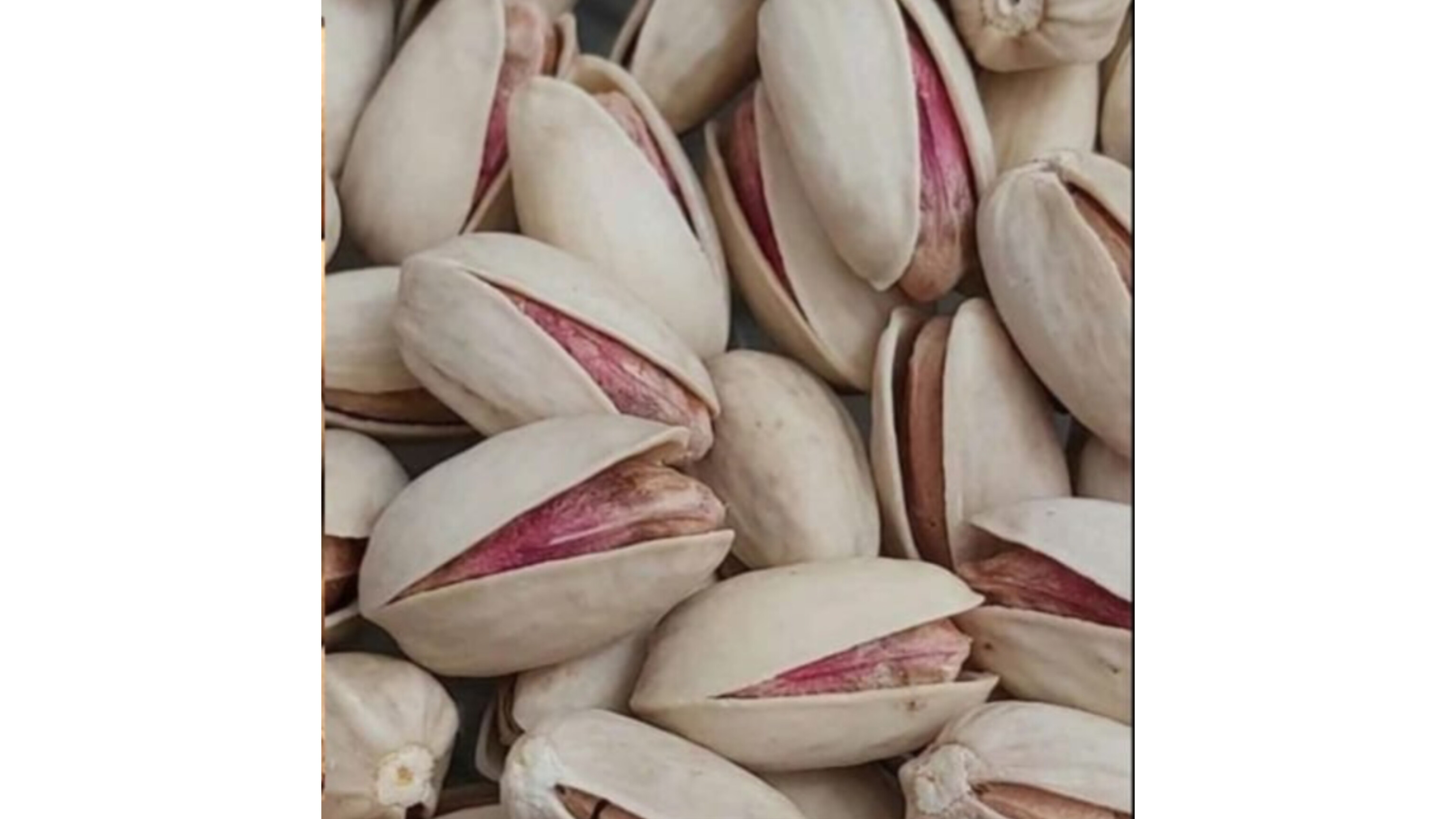 Pistachio