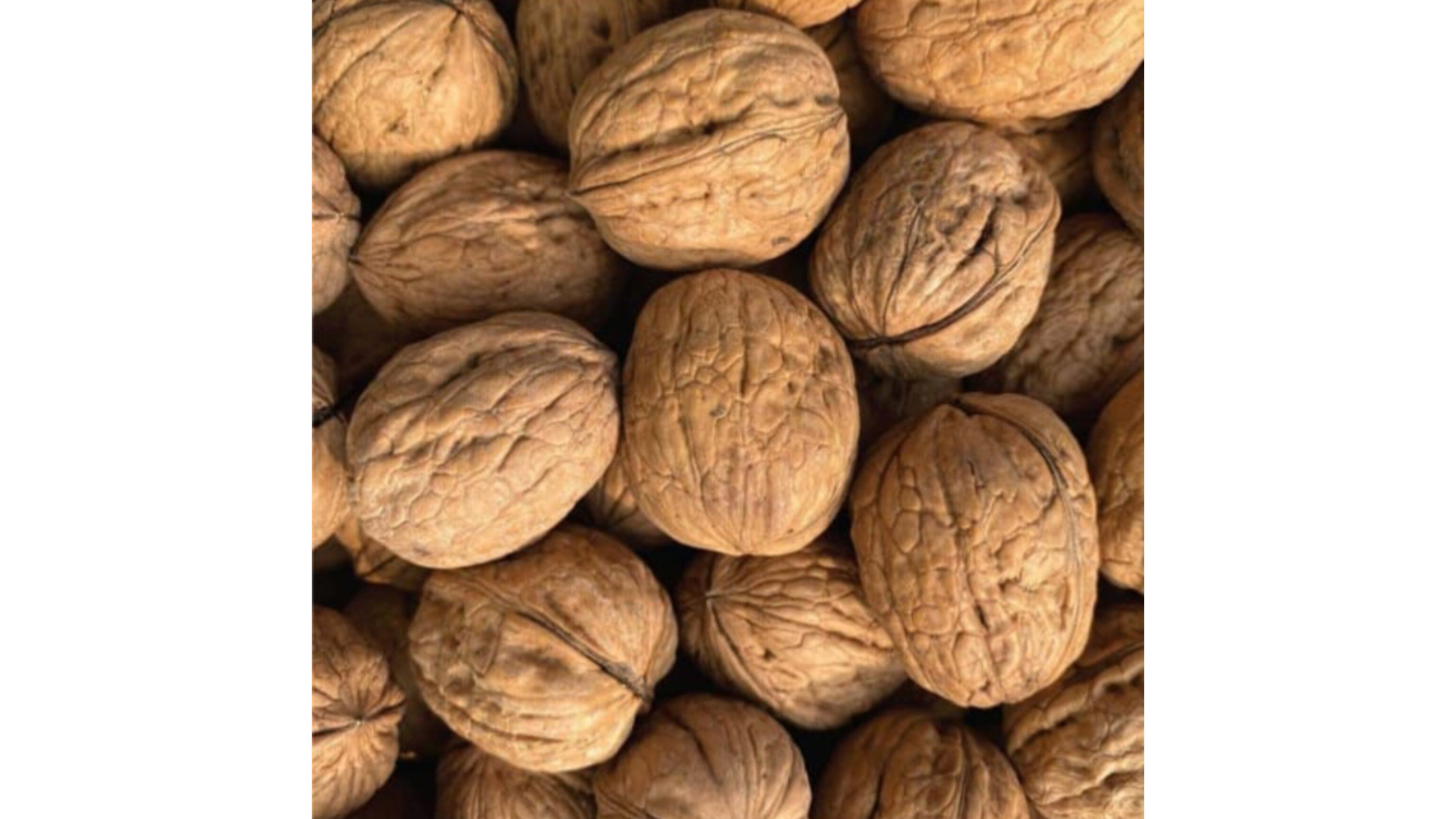 Wal Nut
