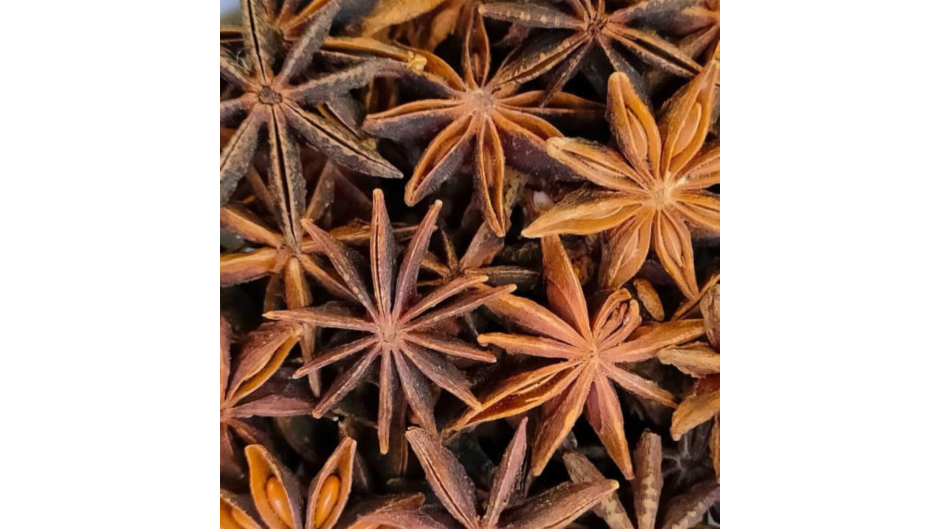 Star Anise