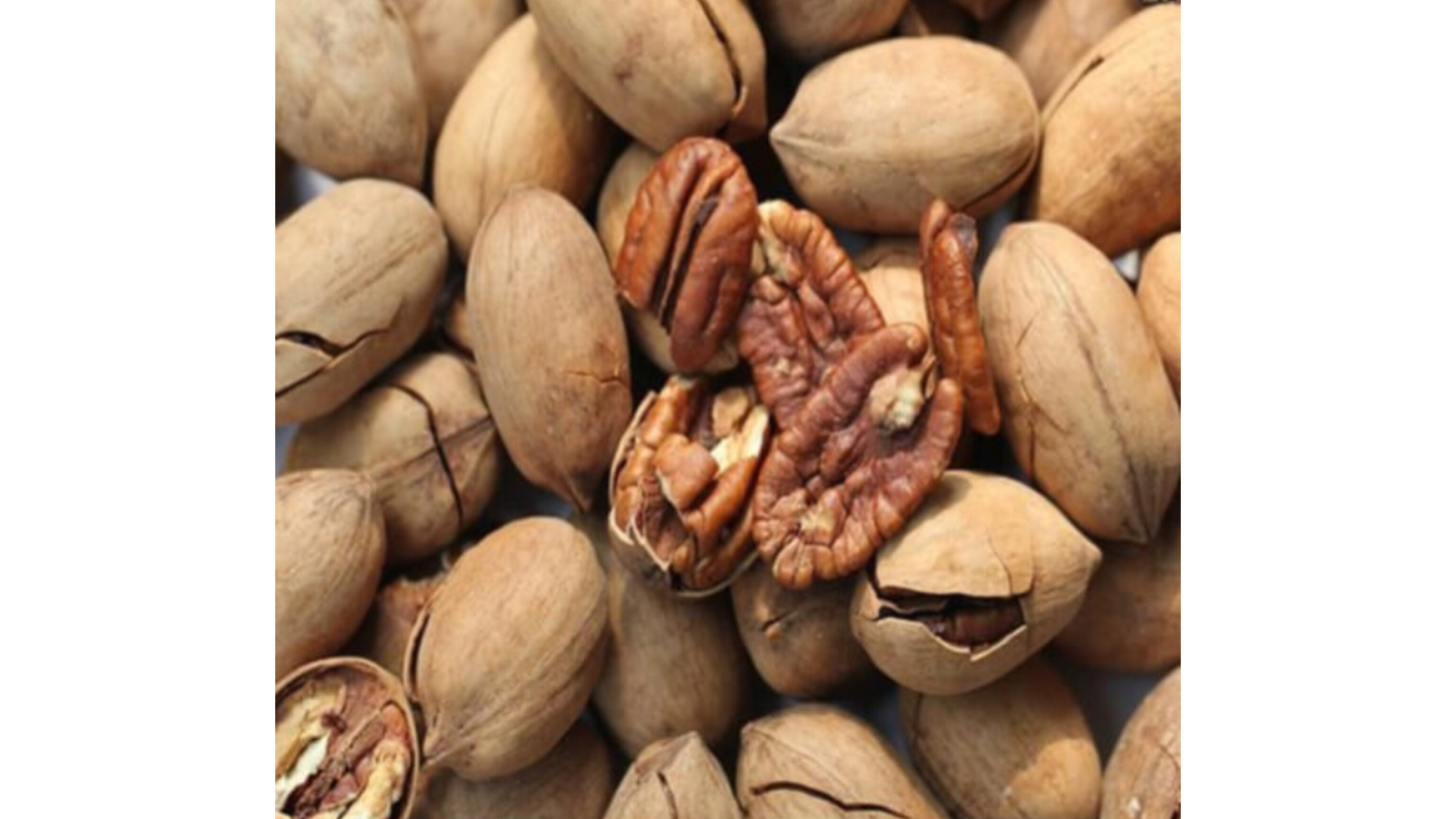 Pecan Nut