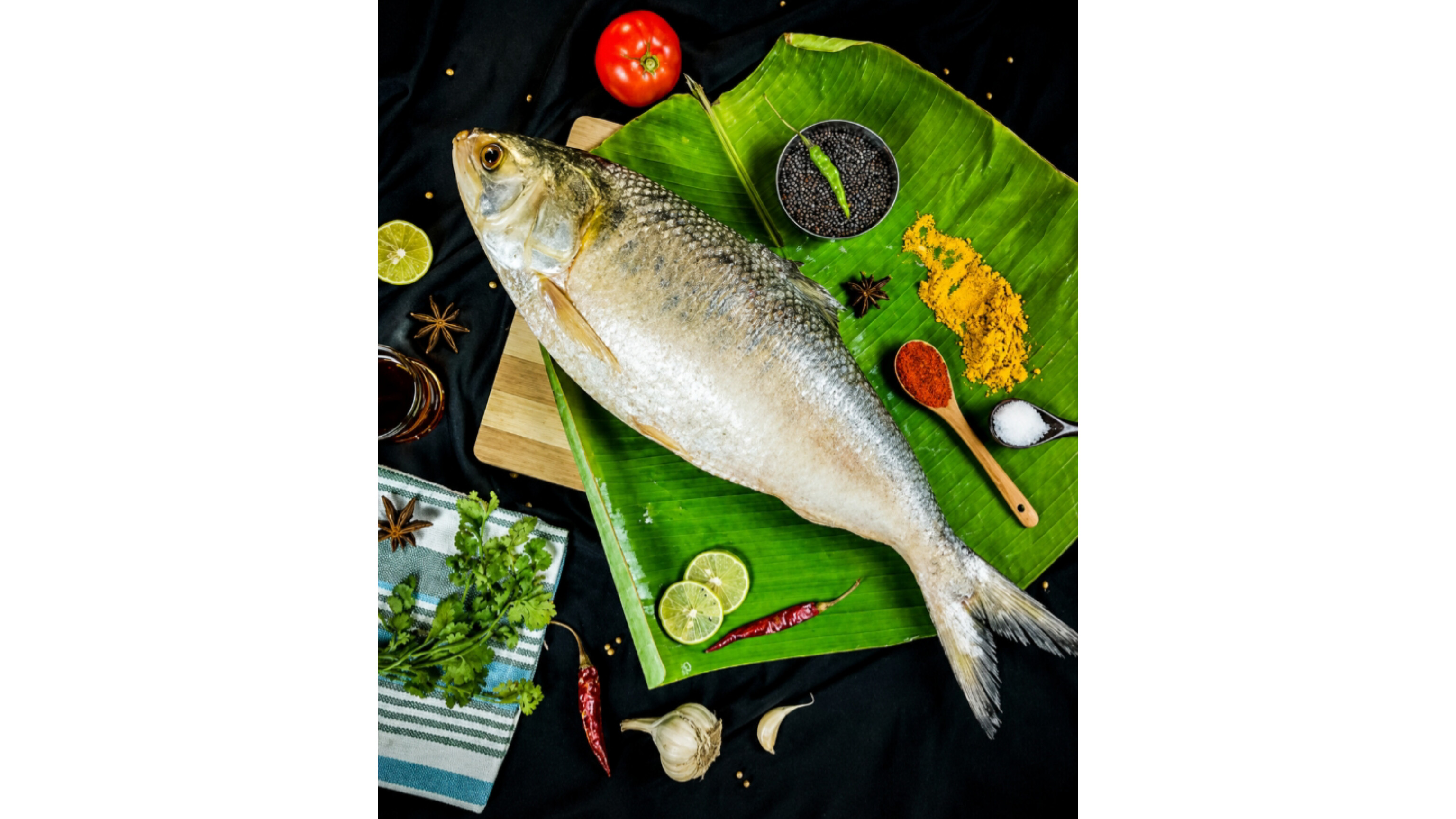 Hils / ilish/ ইলিশ - Fish