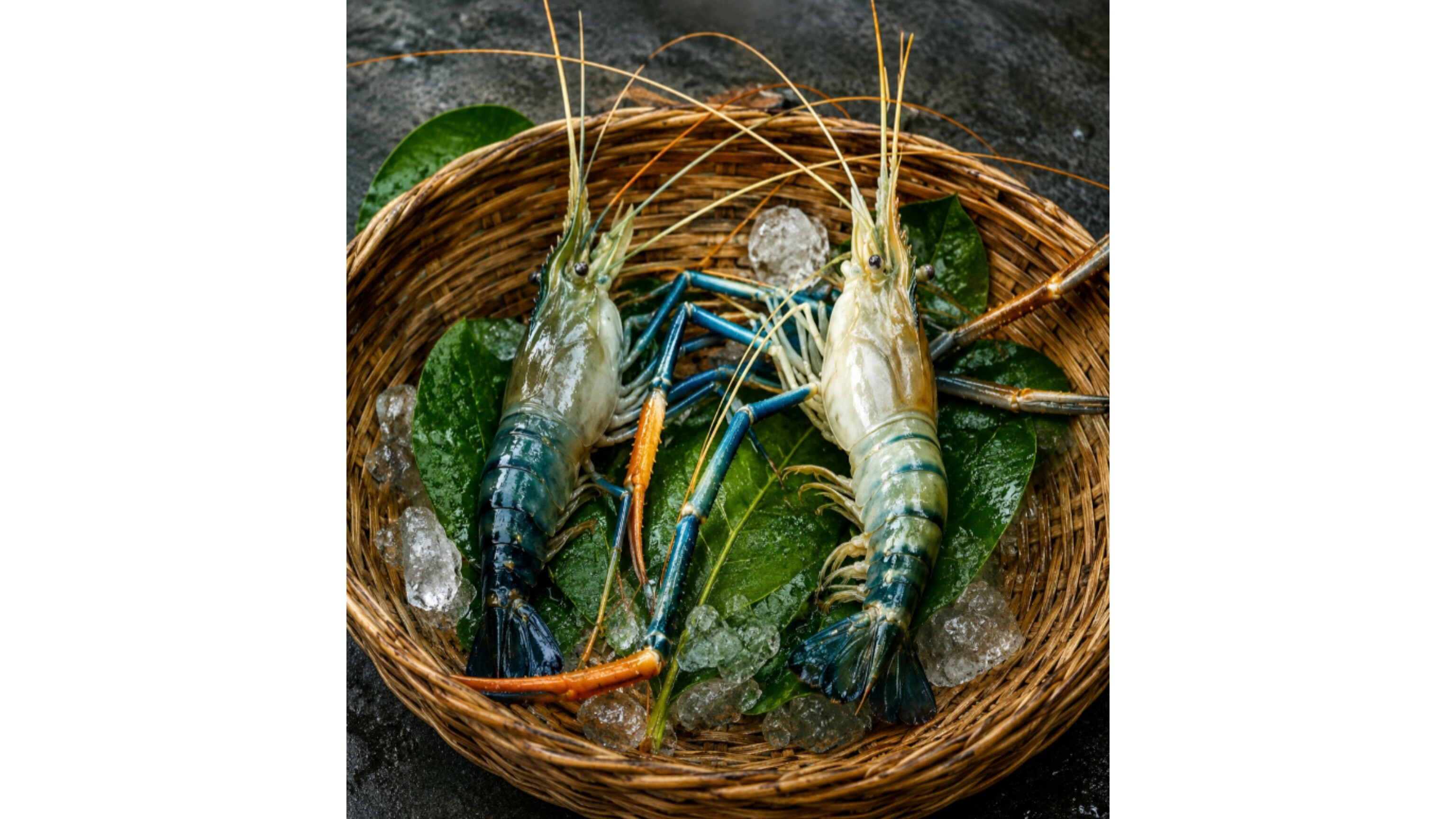 Golda Chingri Shrimp Fish