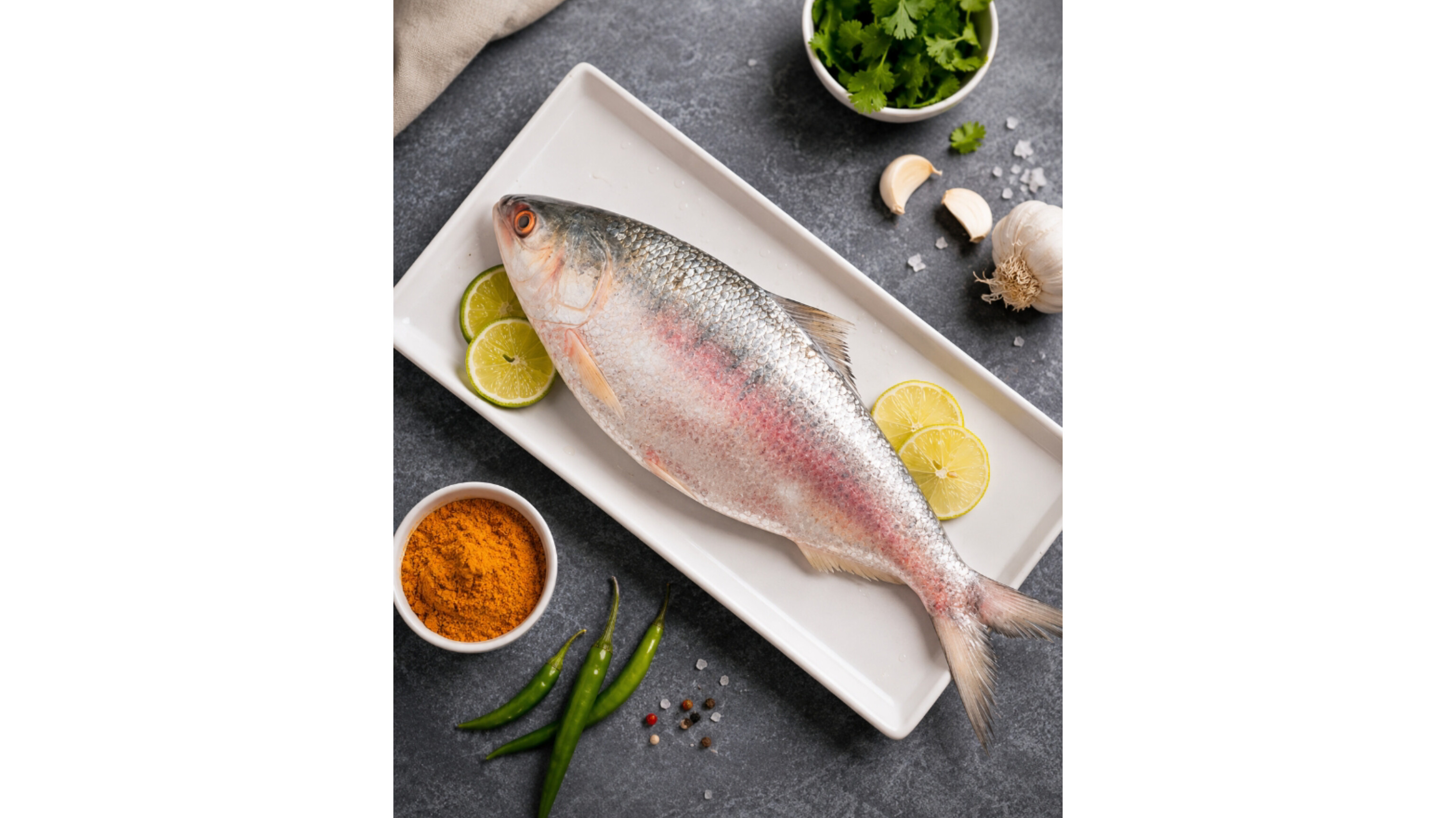 Hilsa/ ilish / ইলিশ -  Fish