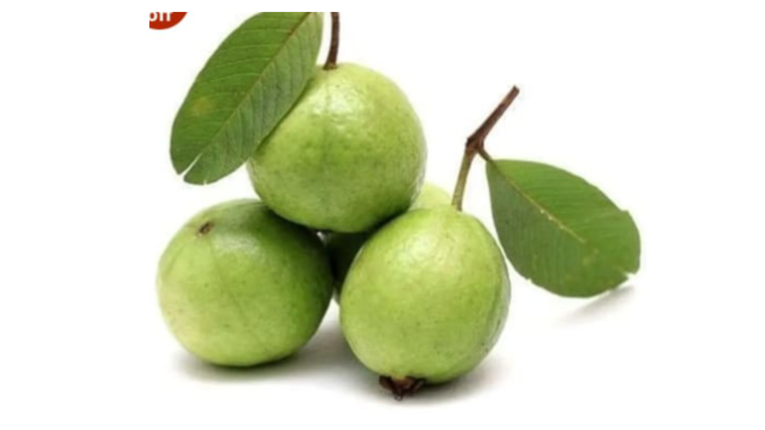 Guava