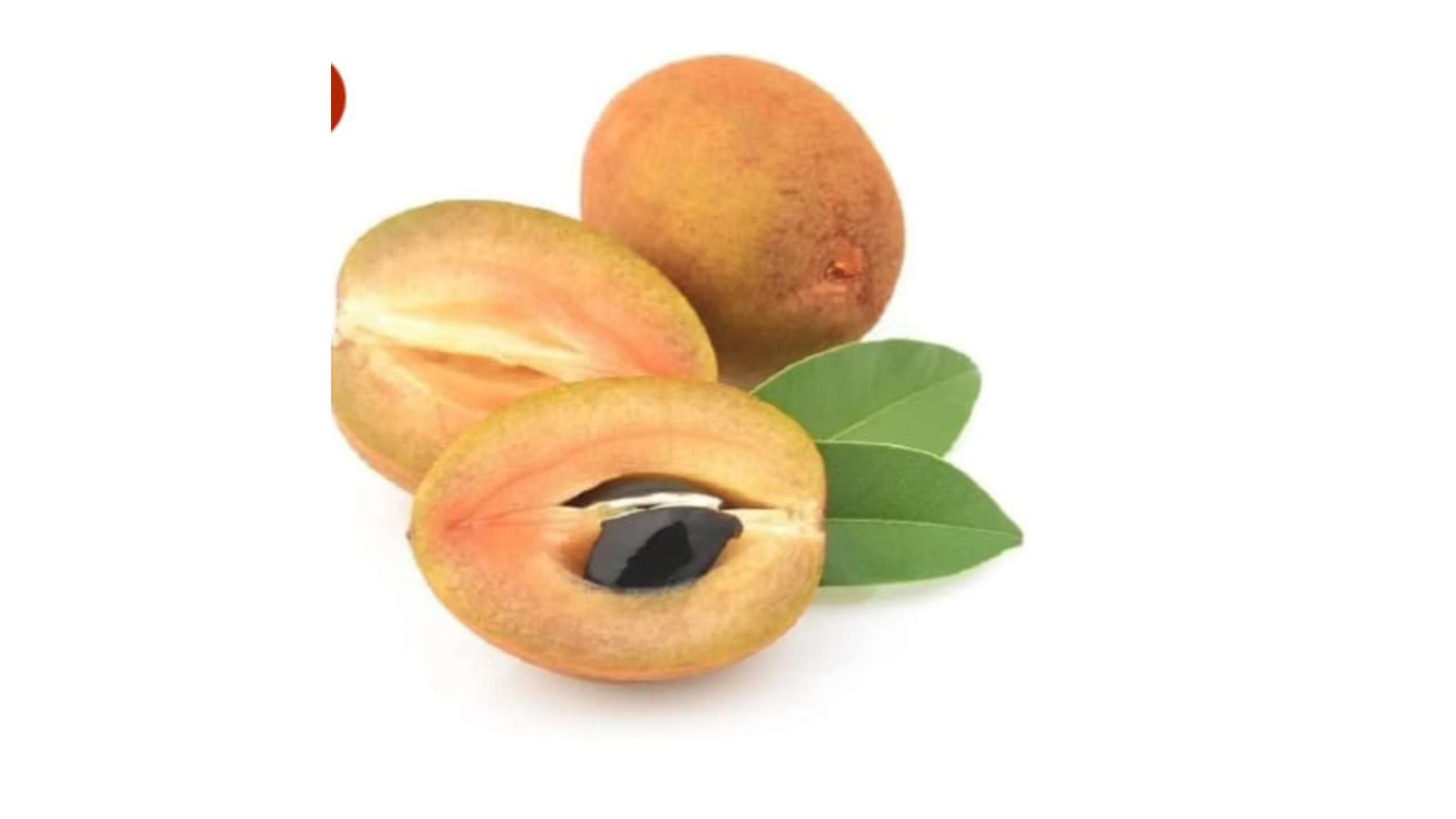 Sapodilla