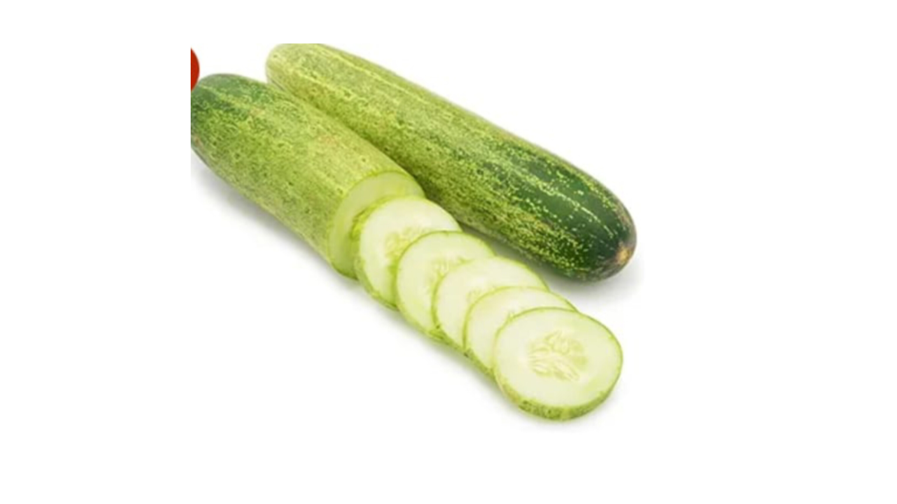 Cucumber