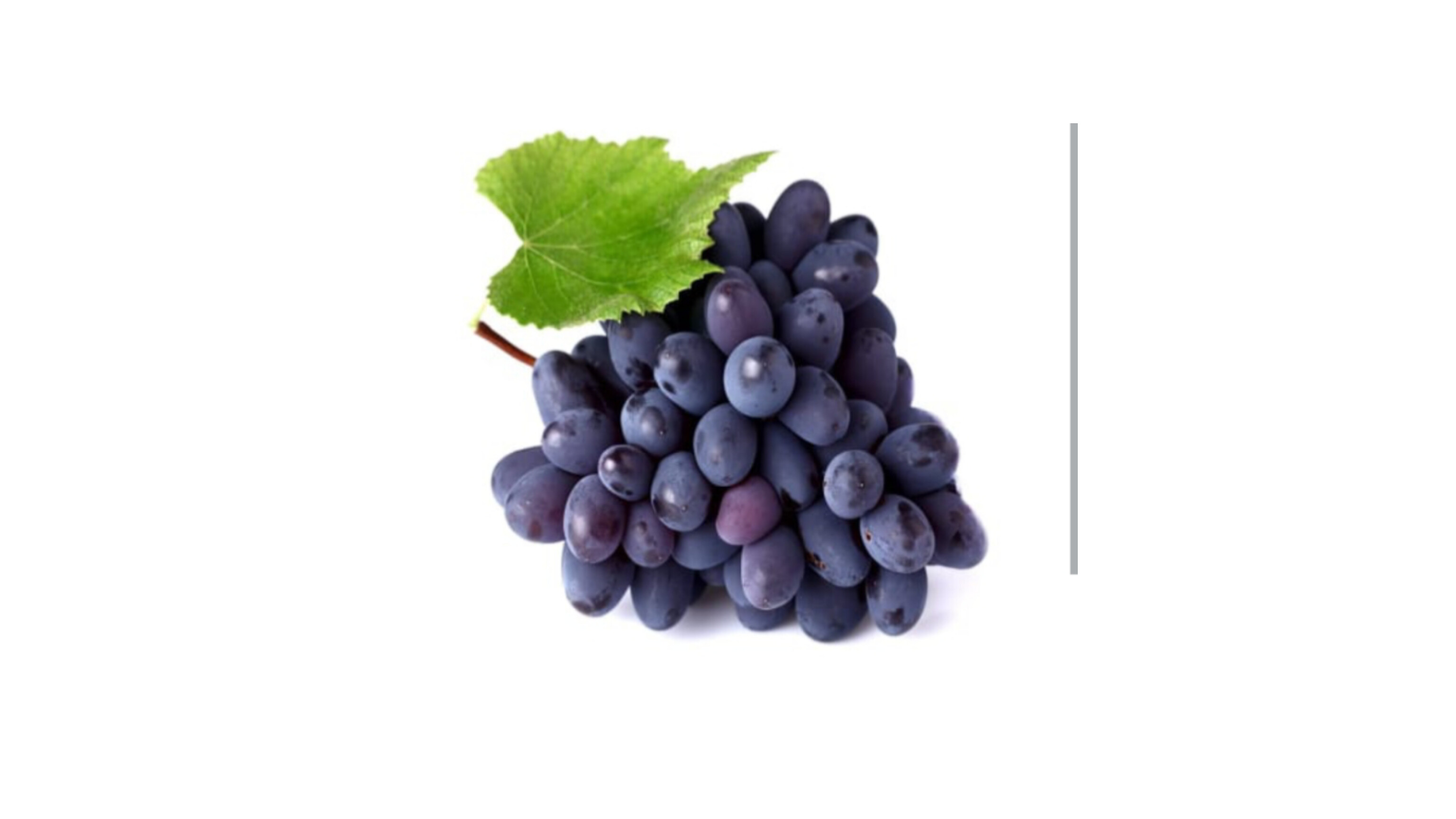 Blue Grapes
