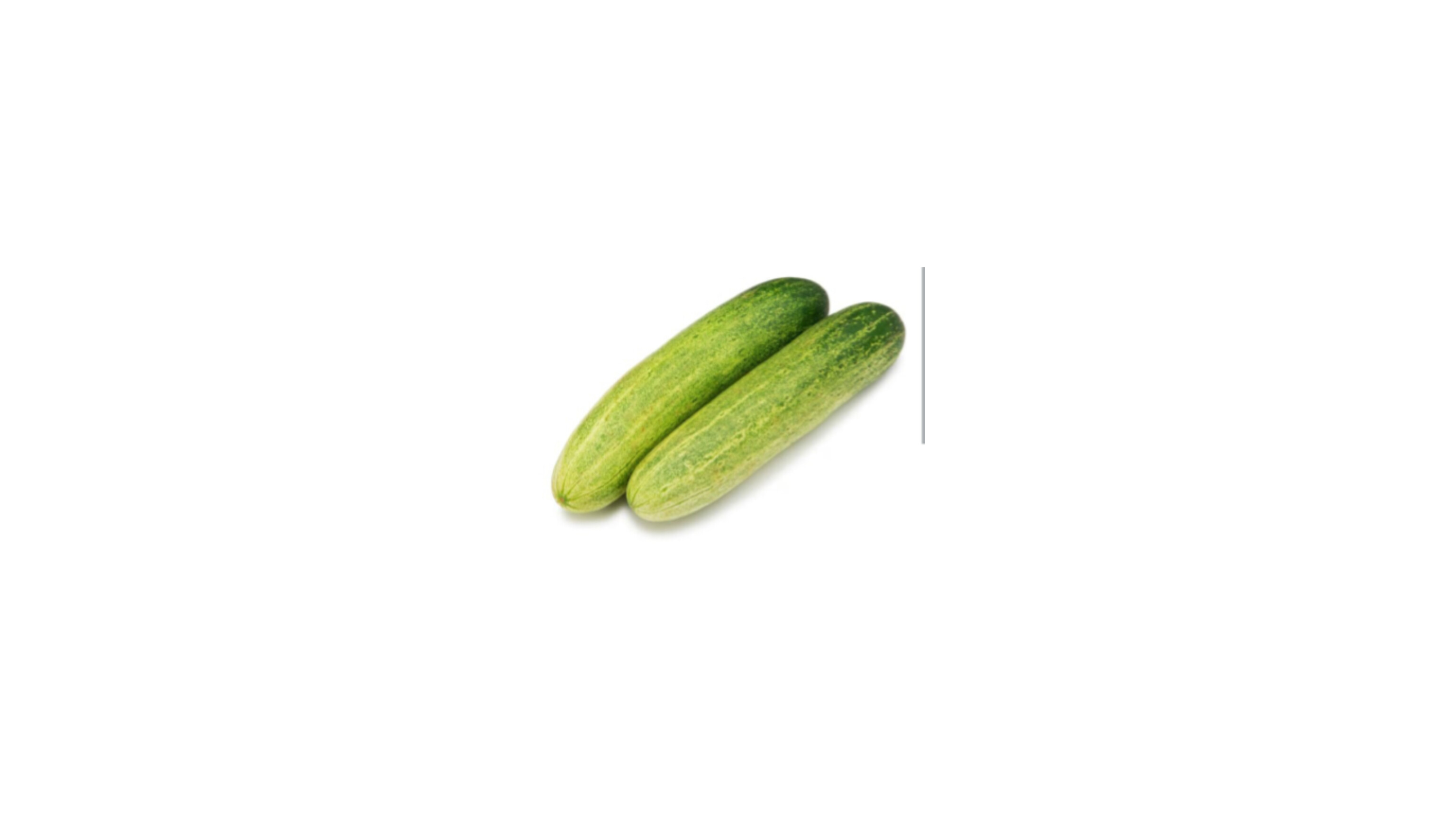 Cucumber