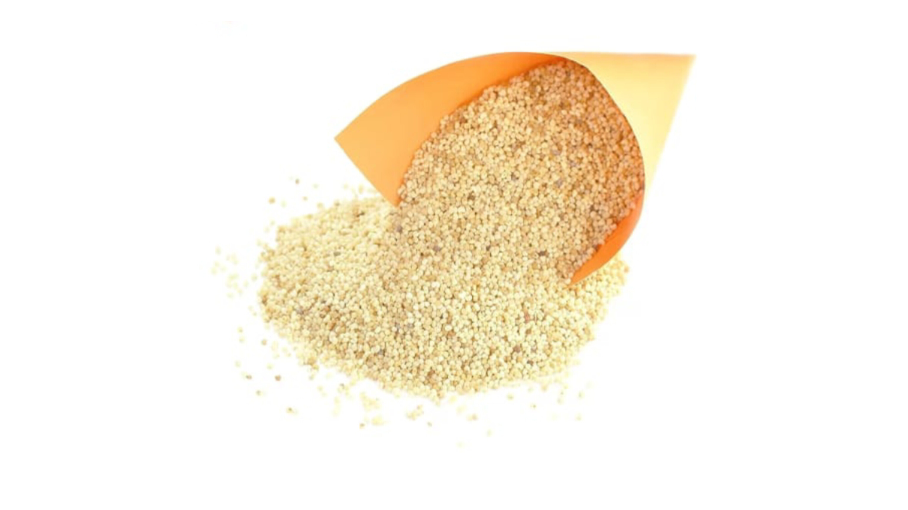 Posta (লুজ পোস্ত)