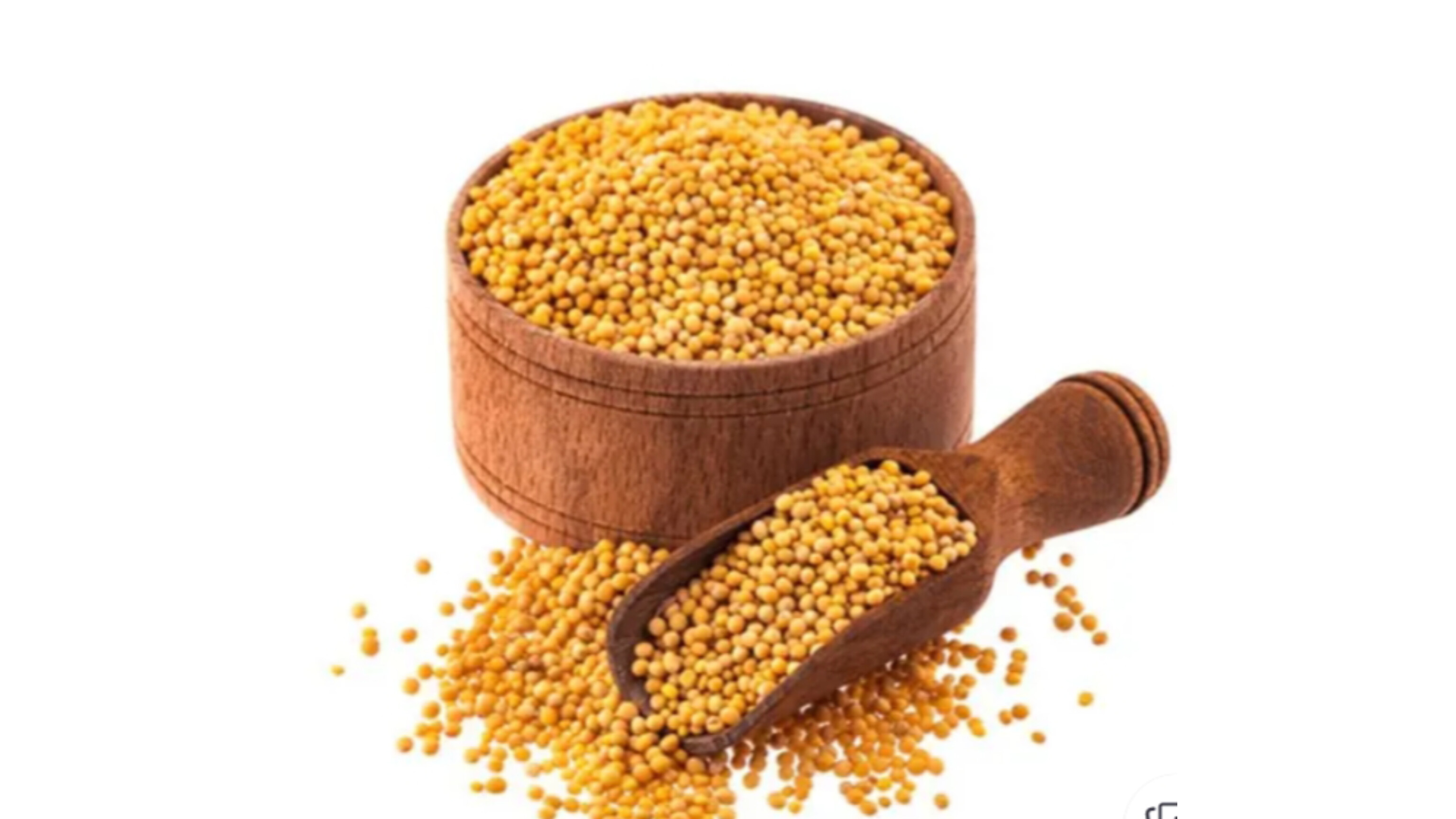 Mustard Seeds Whole ( গোটা সরষে)