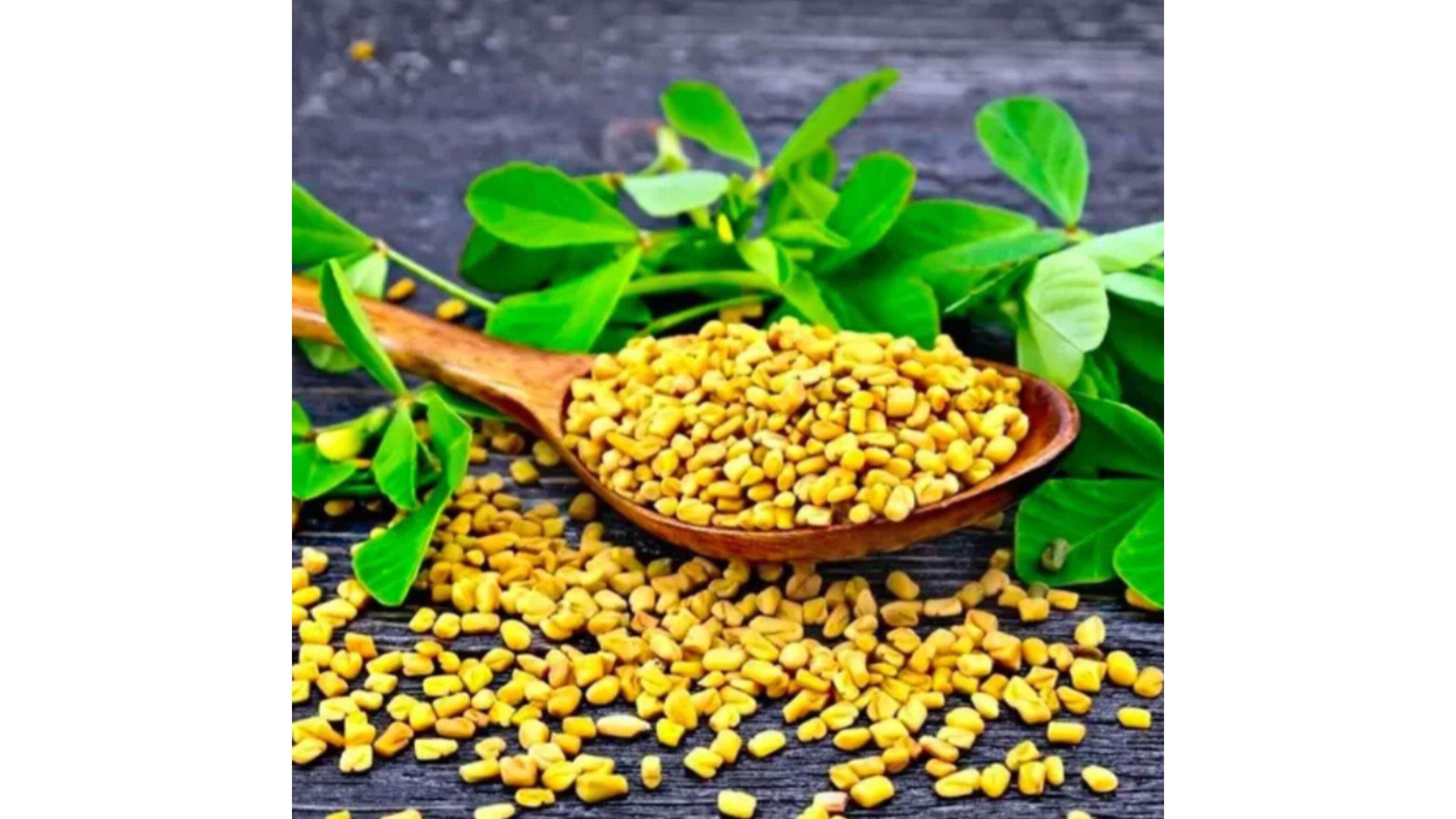 Fenugreek Whole ( মেথি গোটা )