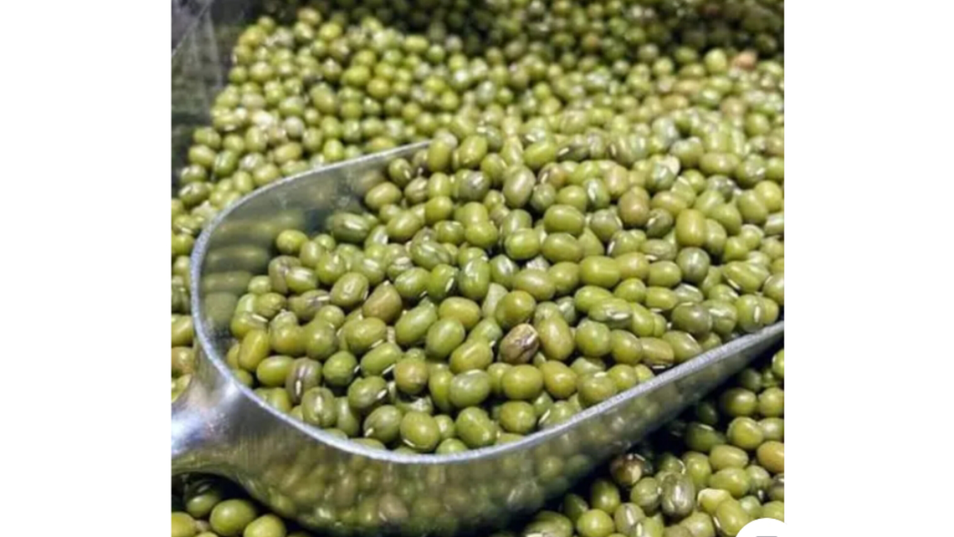Green Moong Dal (সবুজ  মুগ ডাল )