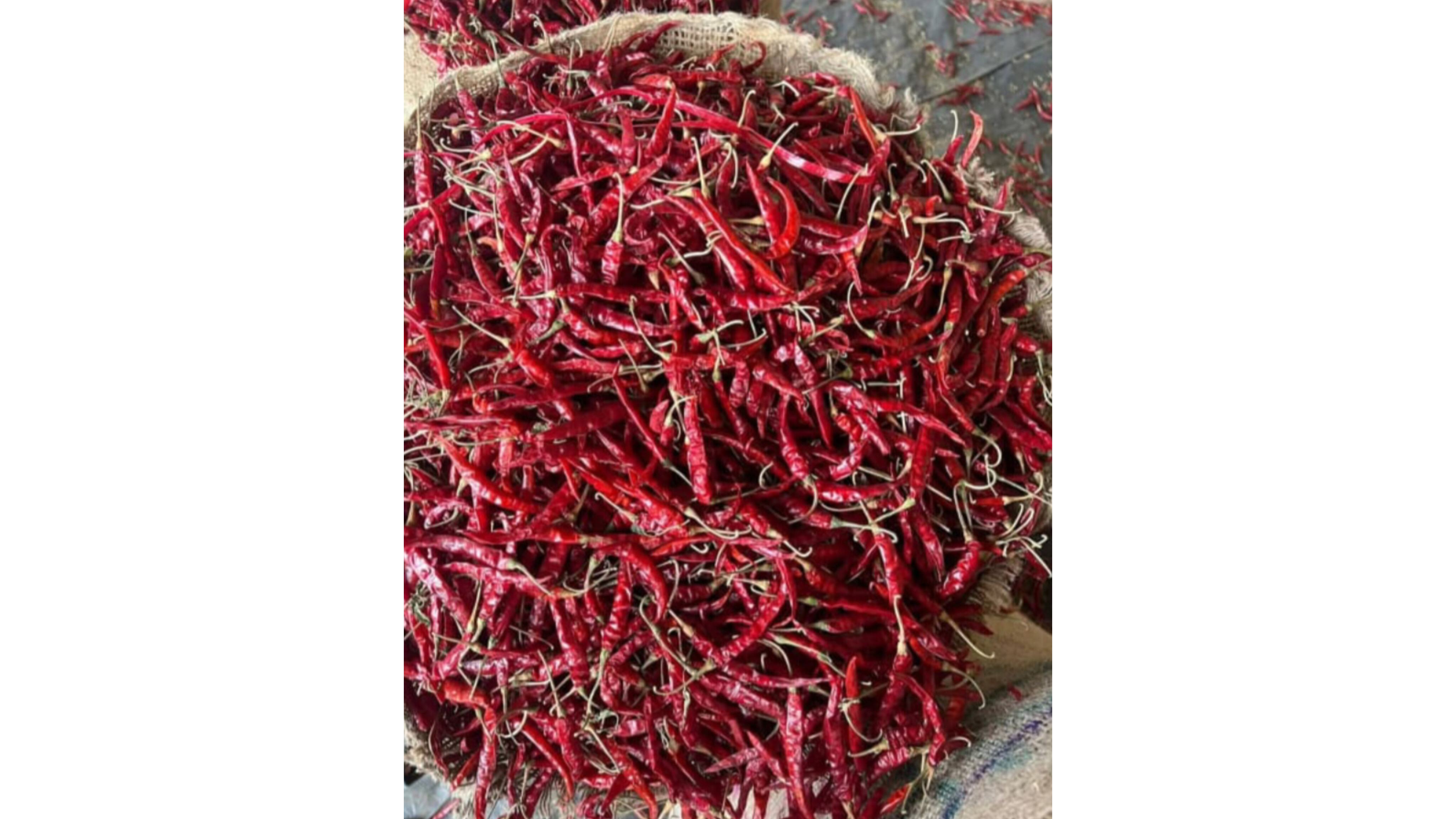 Dried Whole Red Chilli