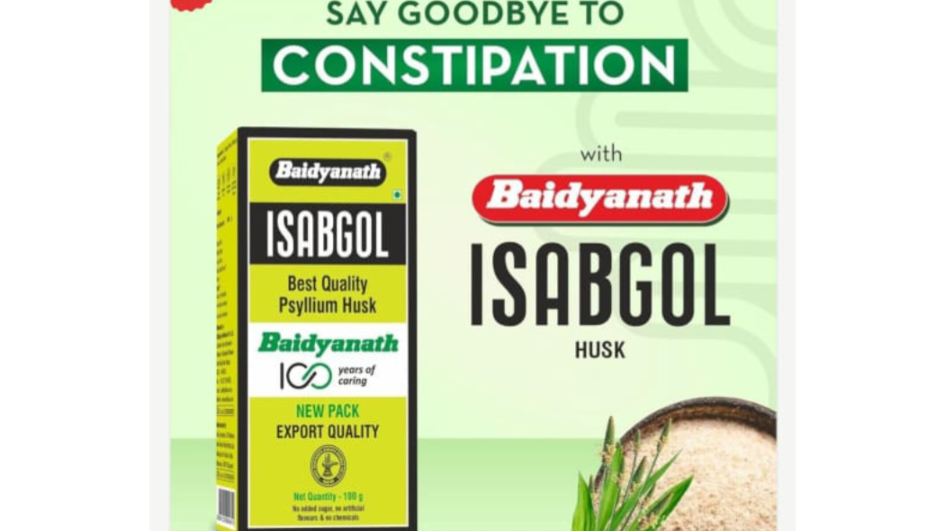 Baidyanath Isabgol Psyllium Huck Powder