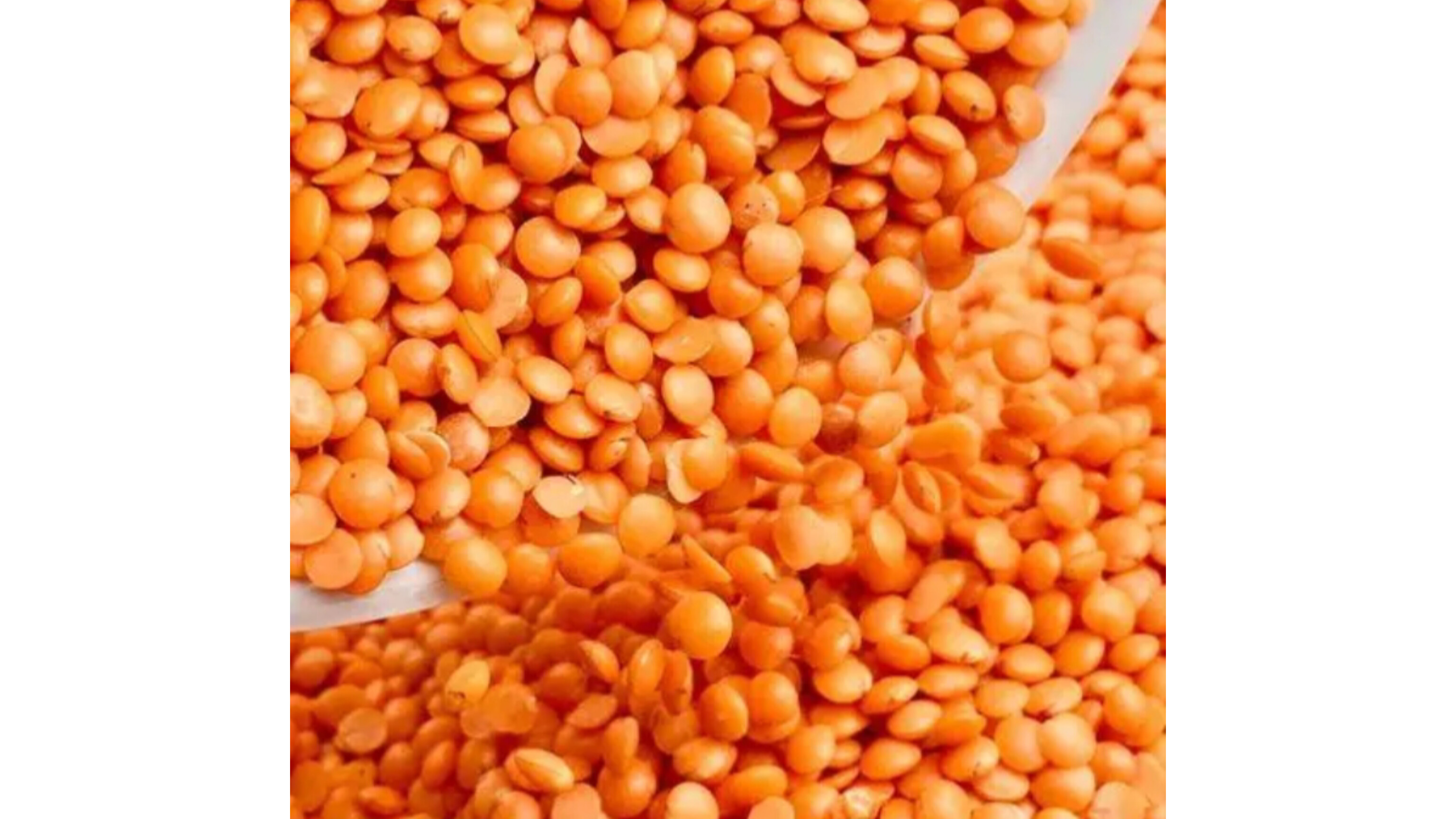 Masoor Dal