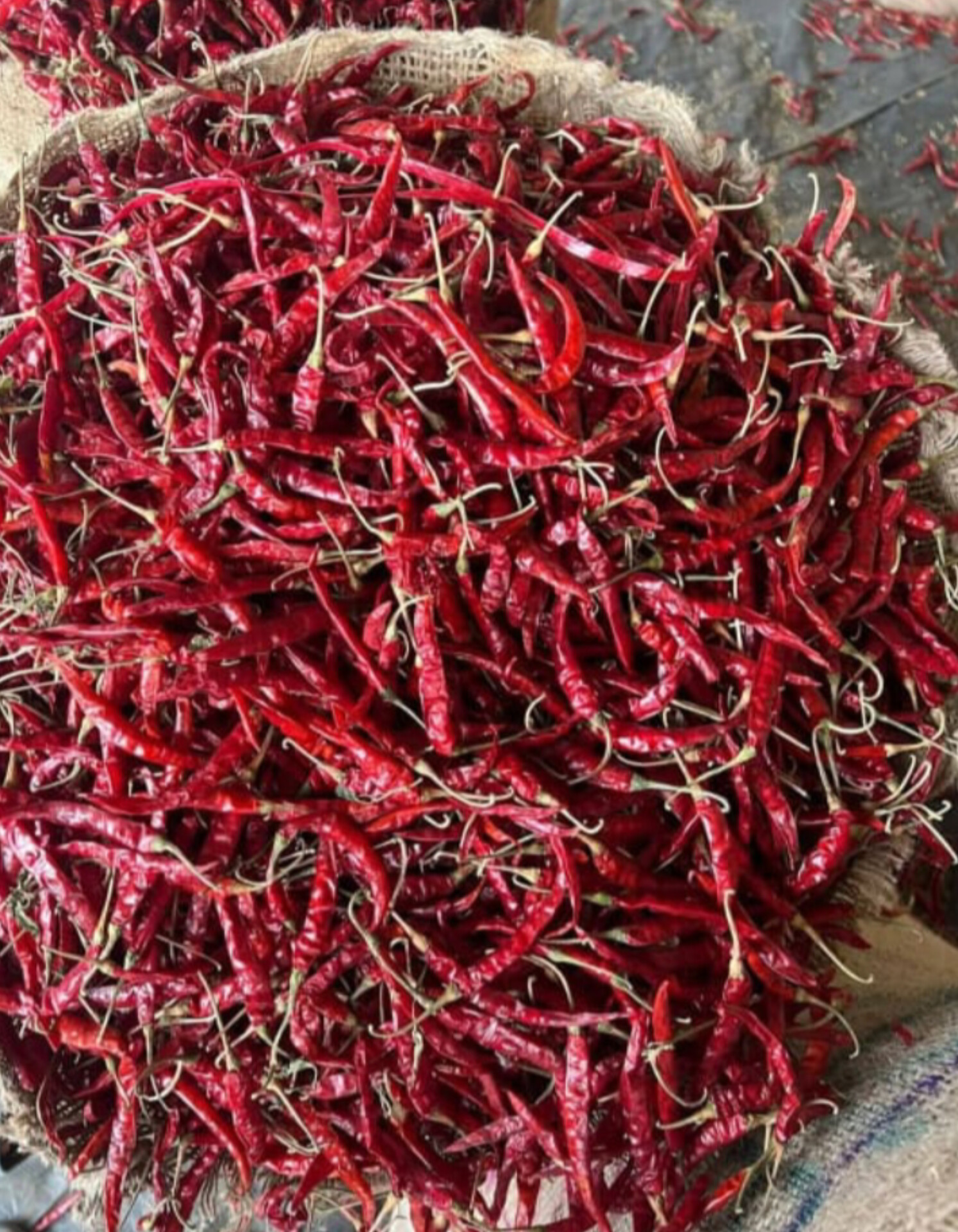 Dried Whole Red Chilli