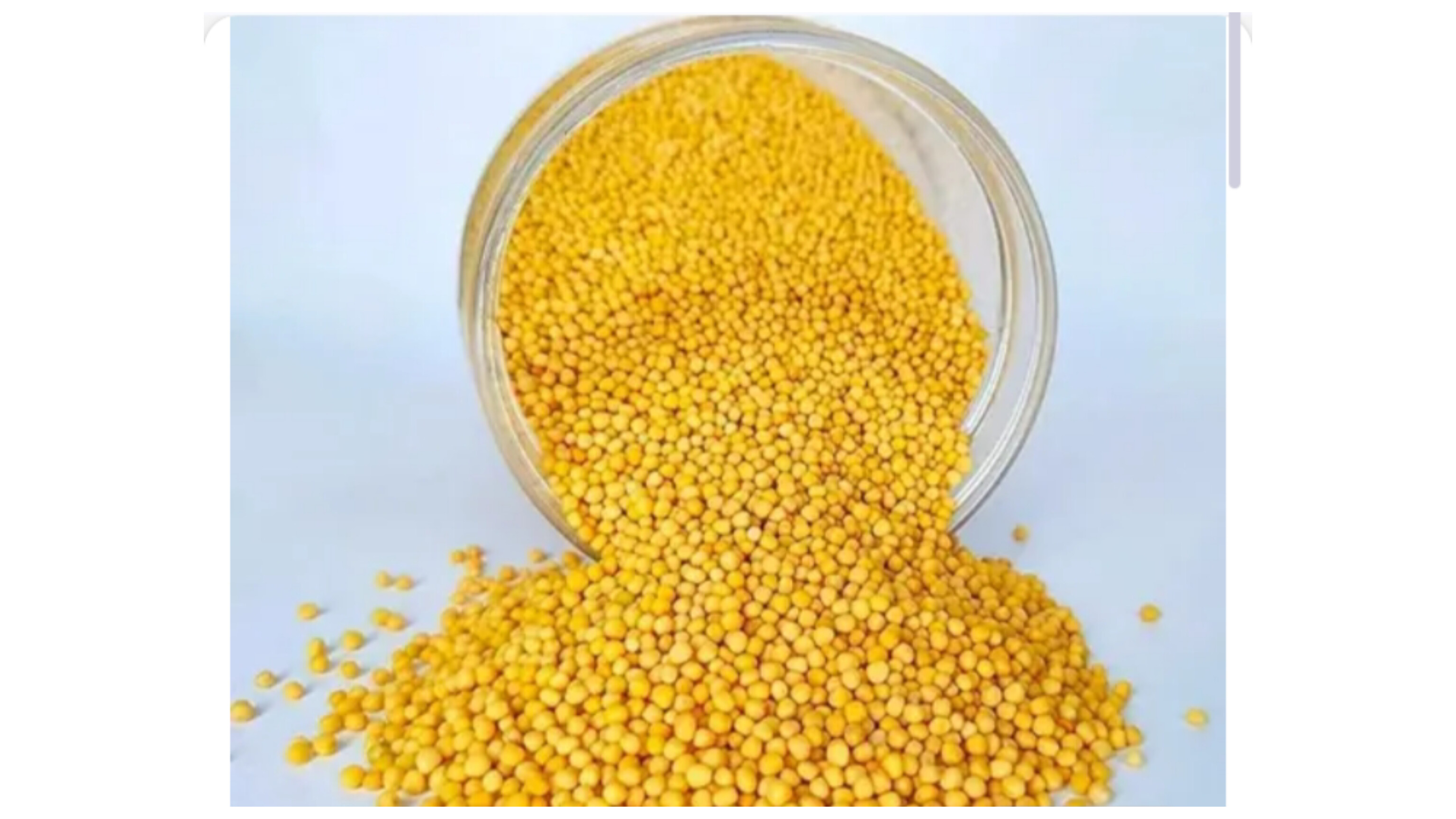 Whole Mustard Seeds