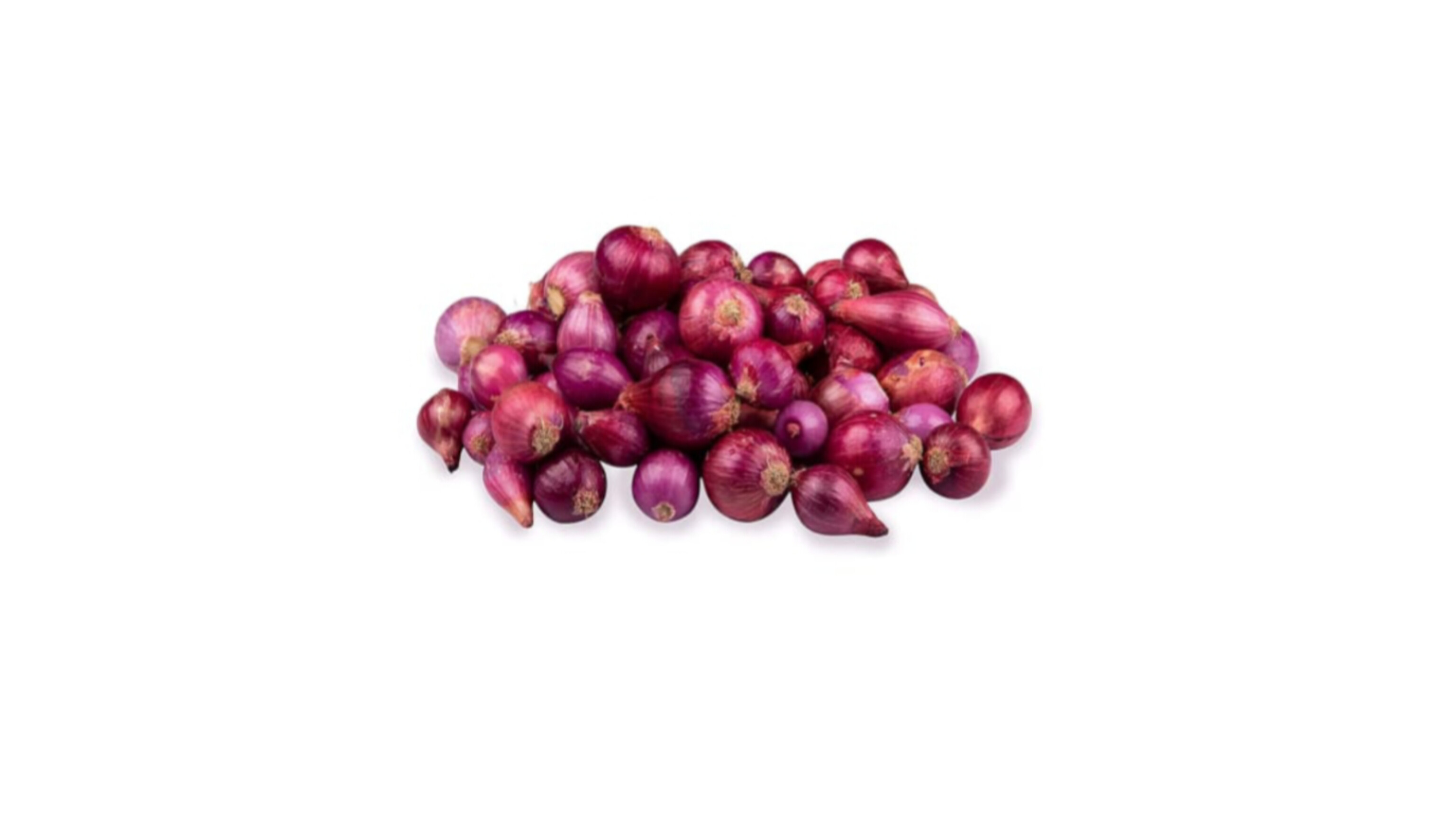 Onion