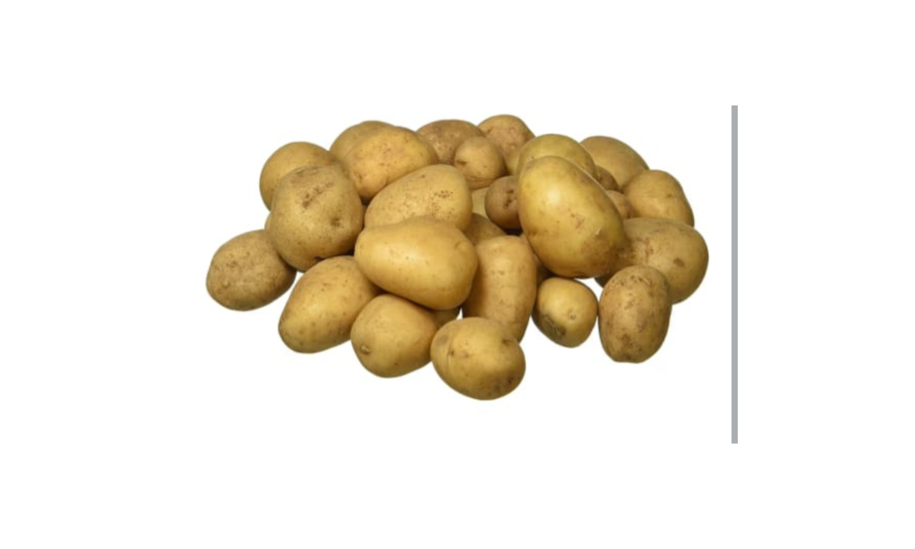 Potato