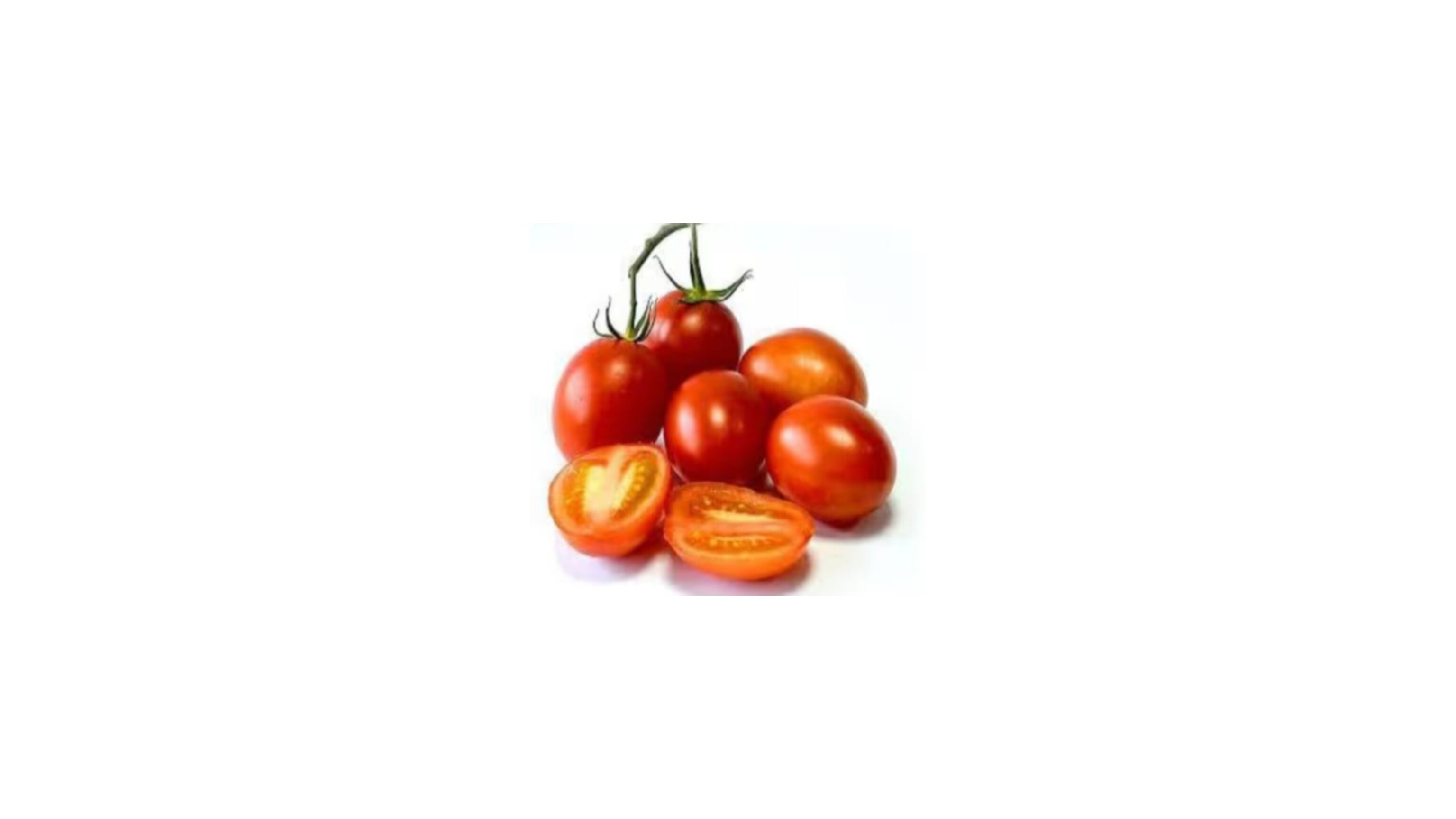 Tomato