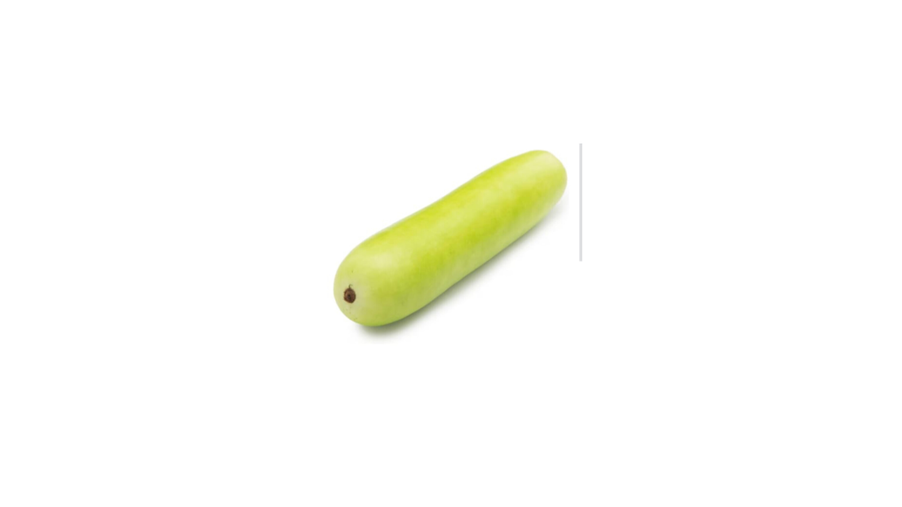 Bottle Gourd ( Doodhi)