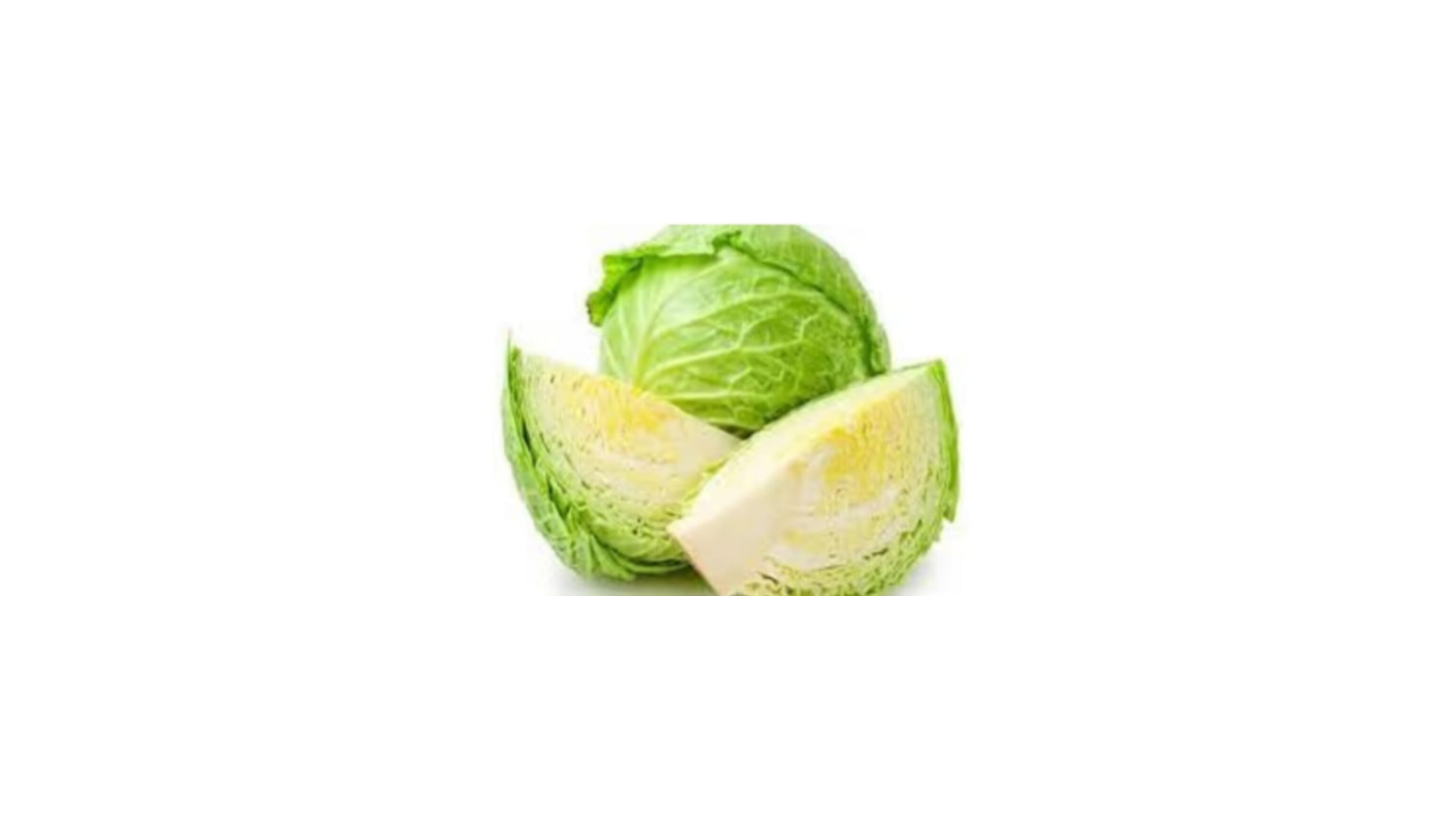 Cabbage