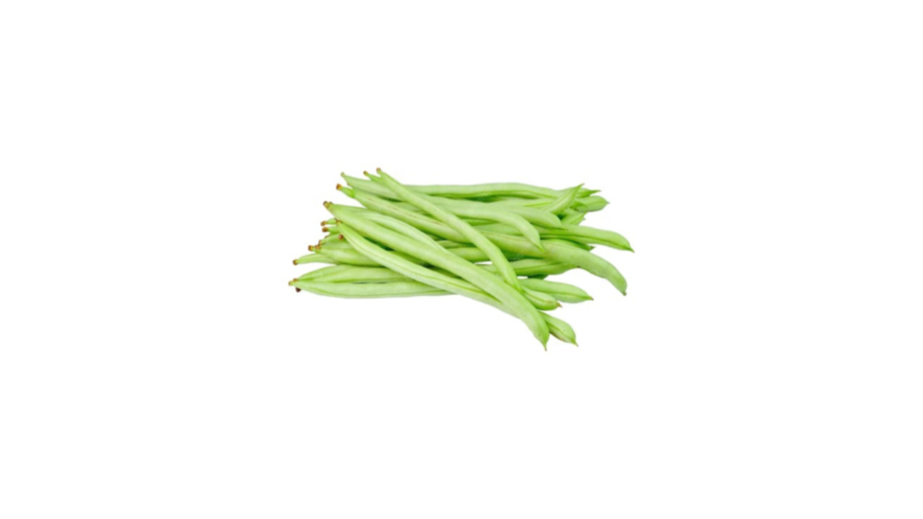 Beans French
