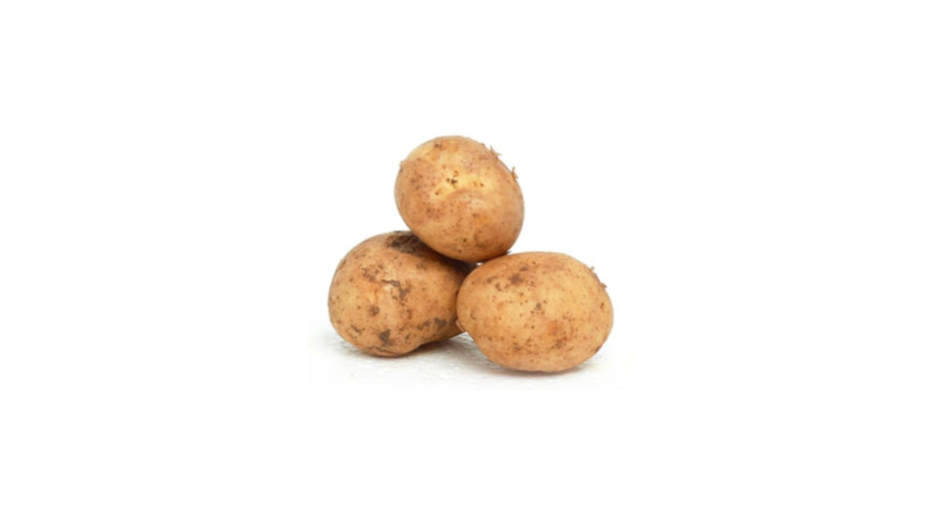 Potato