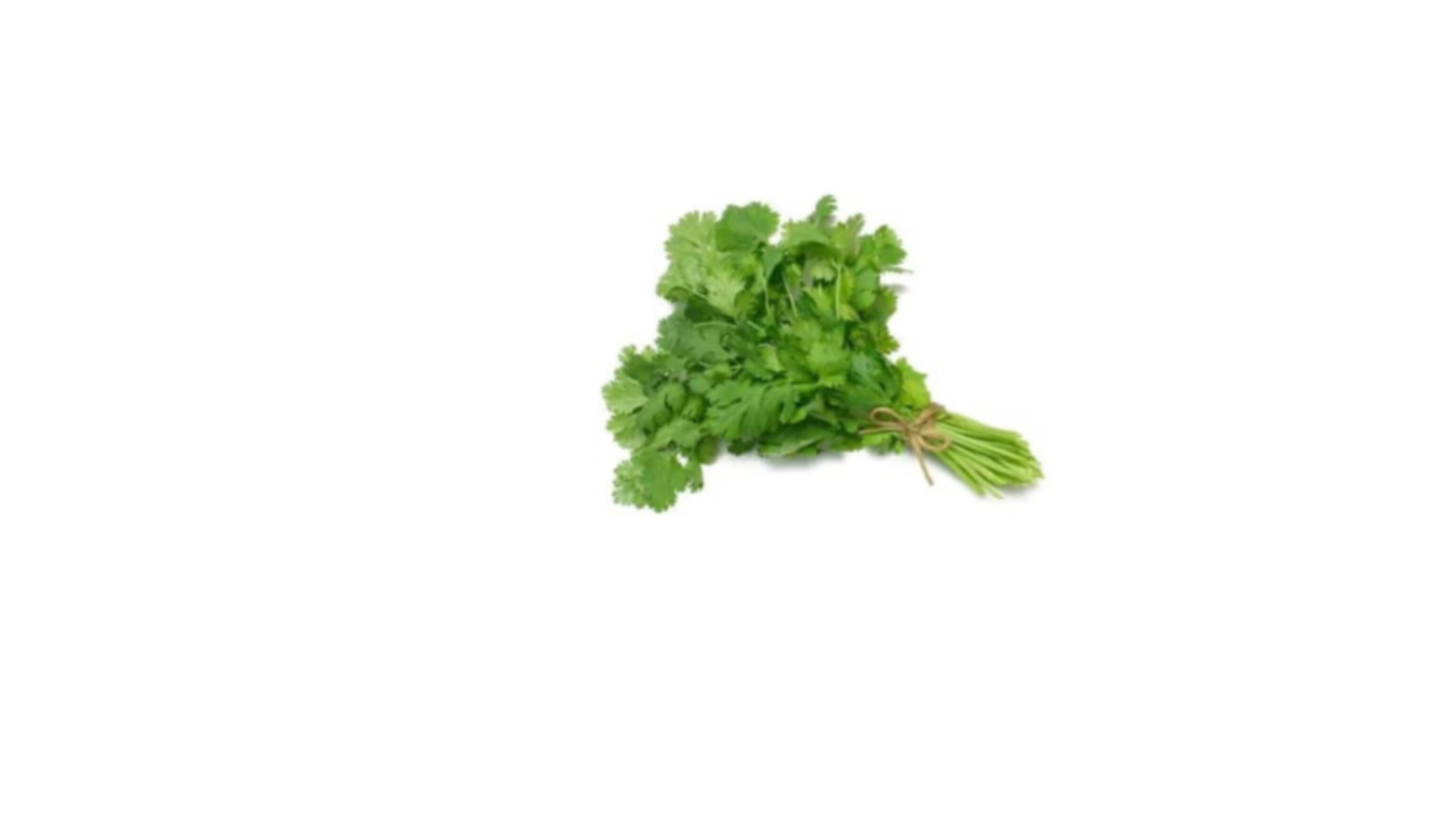 Coriander Leaves