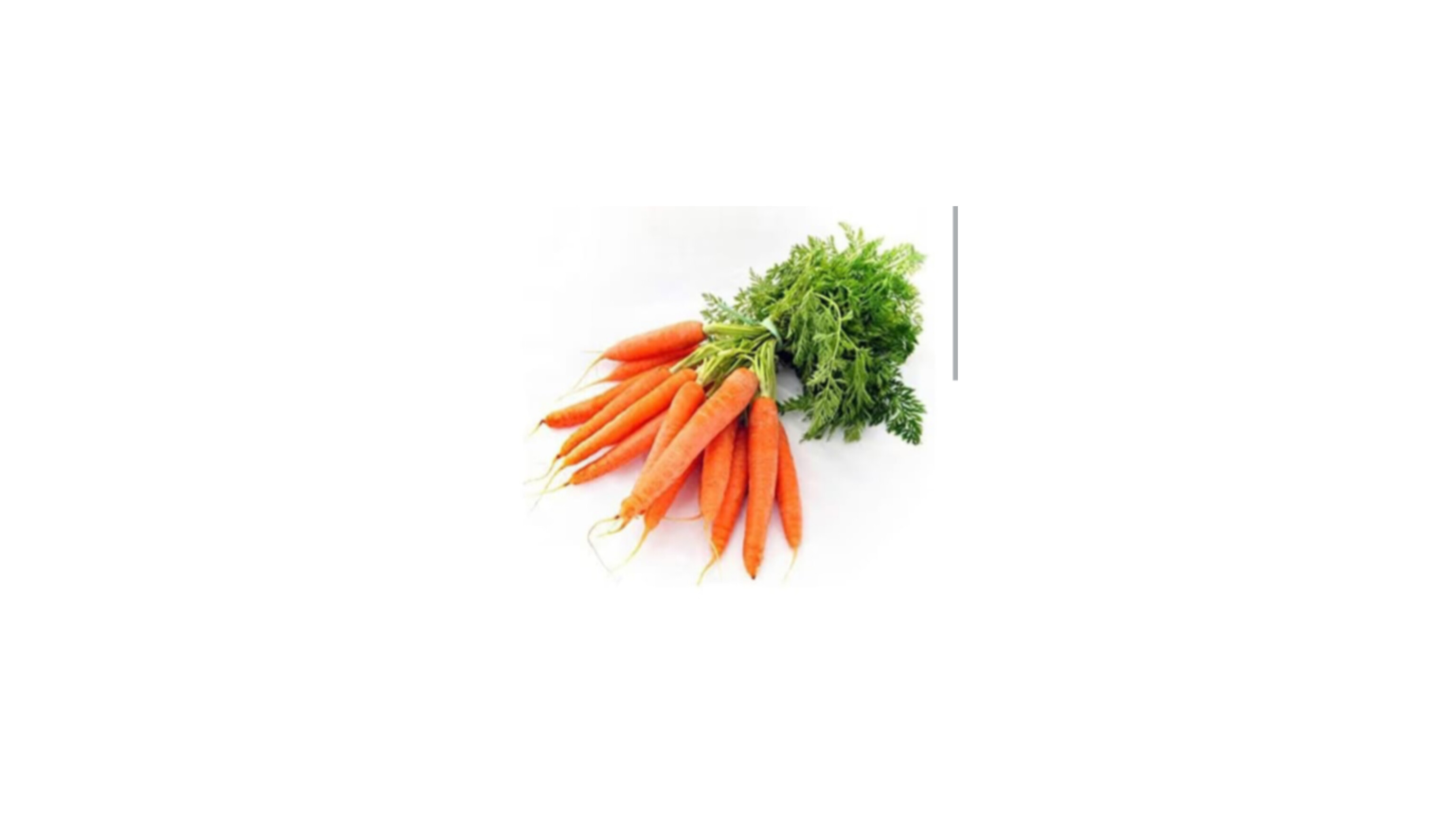Carrot