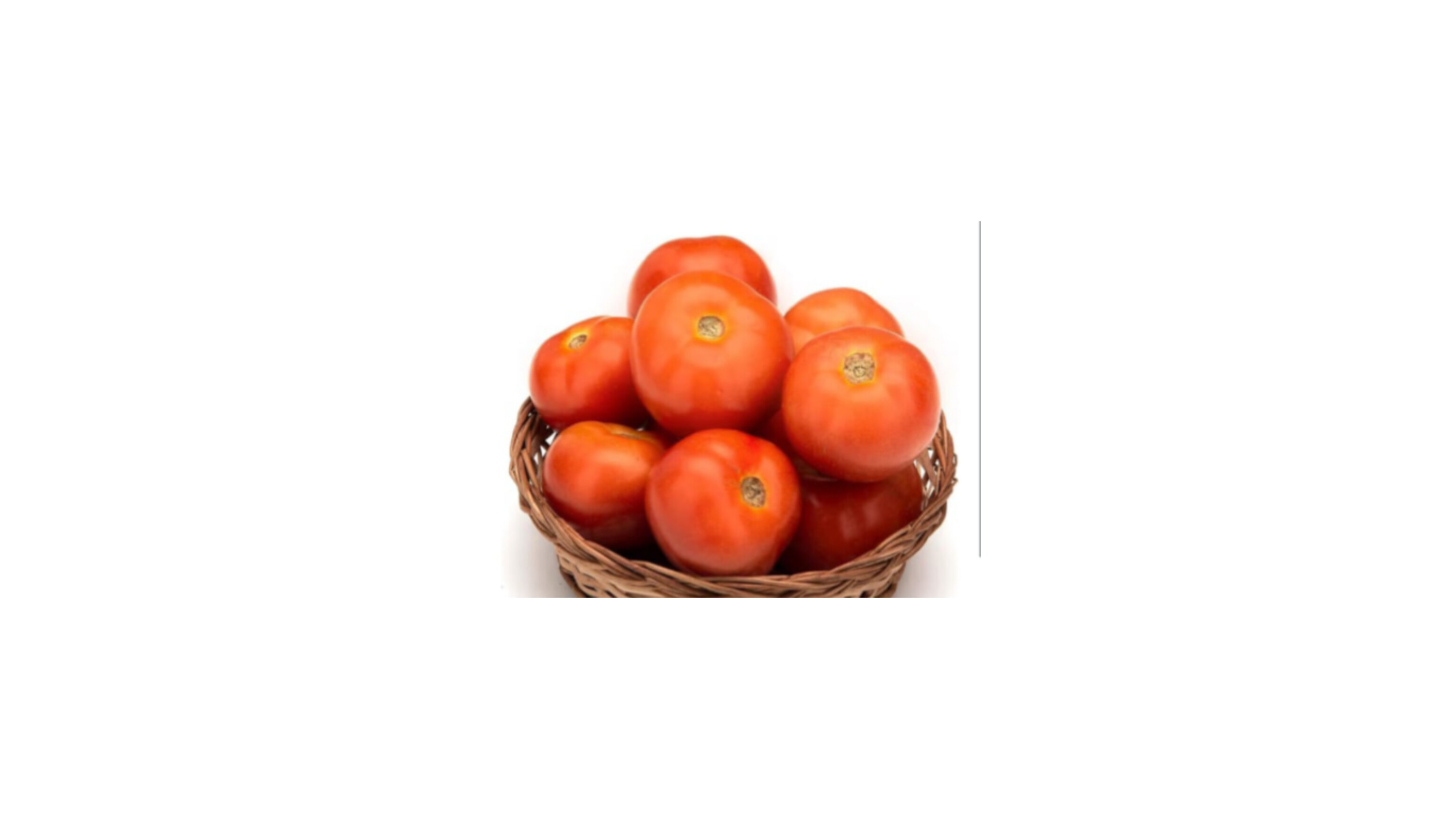 Tomato