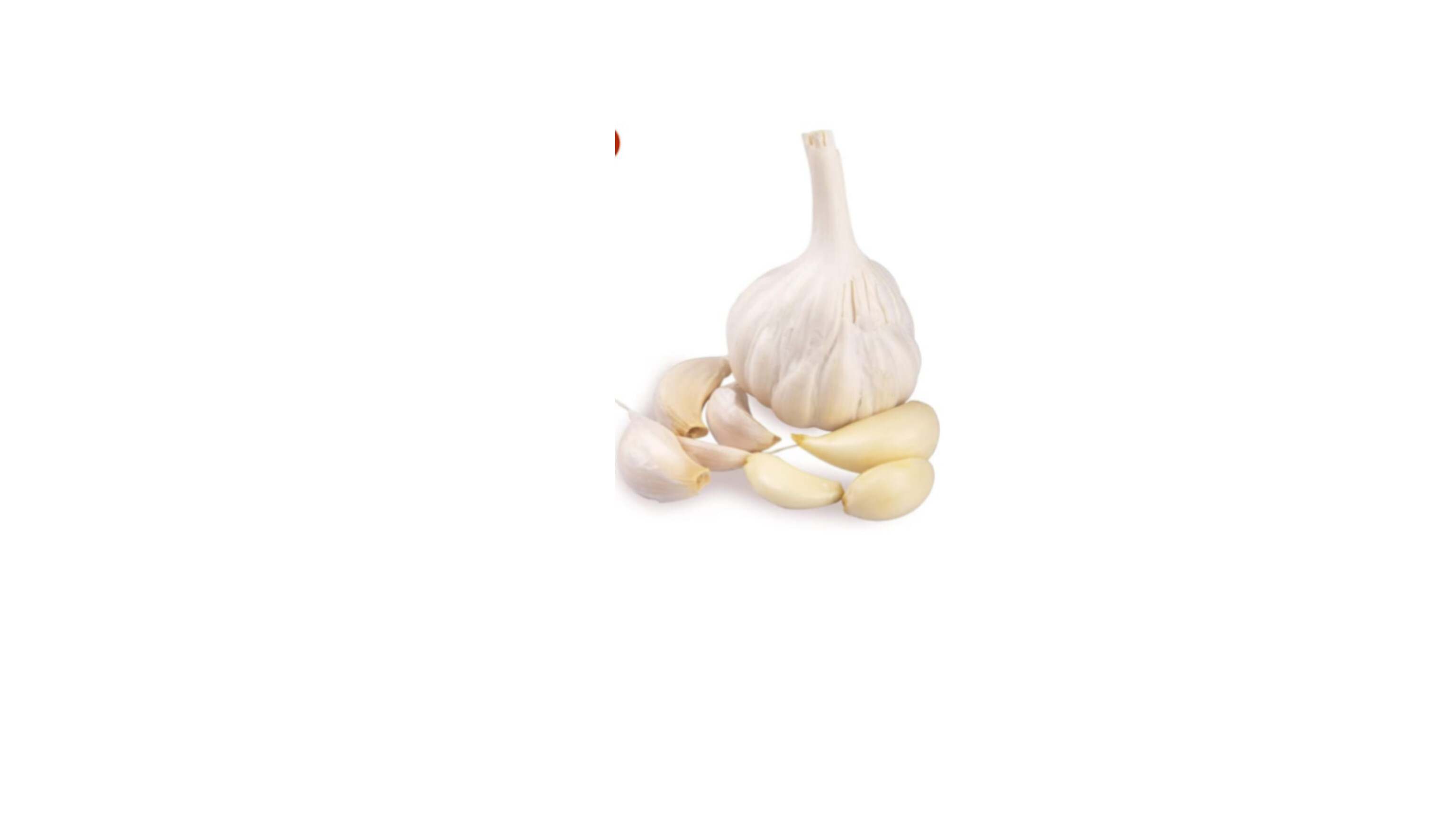 Desi Garlic