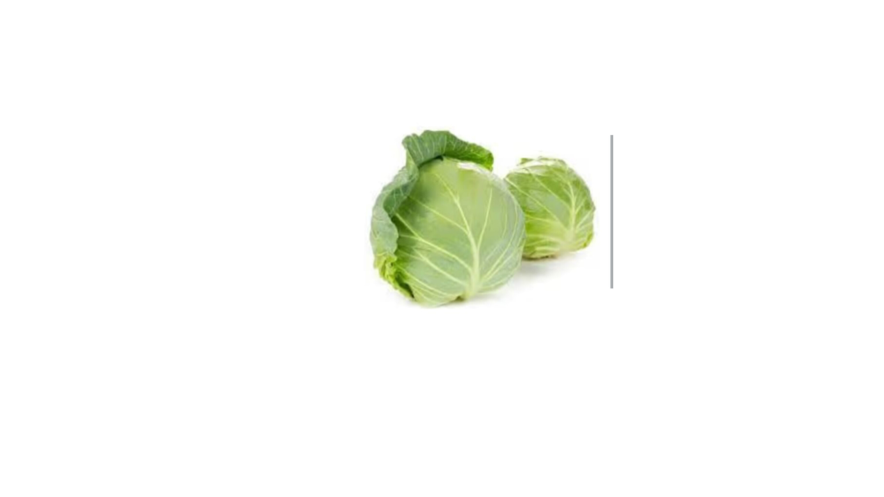 Cabbage