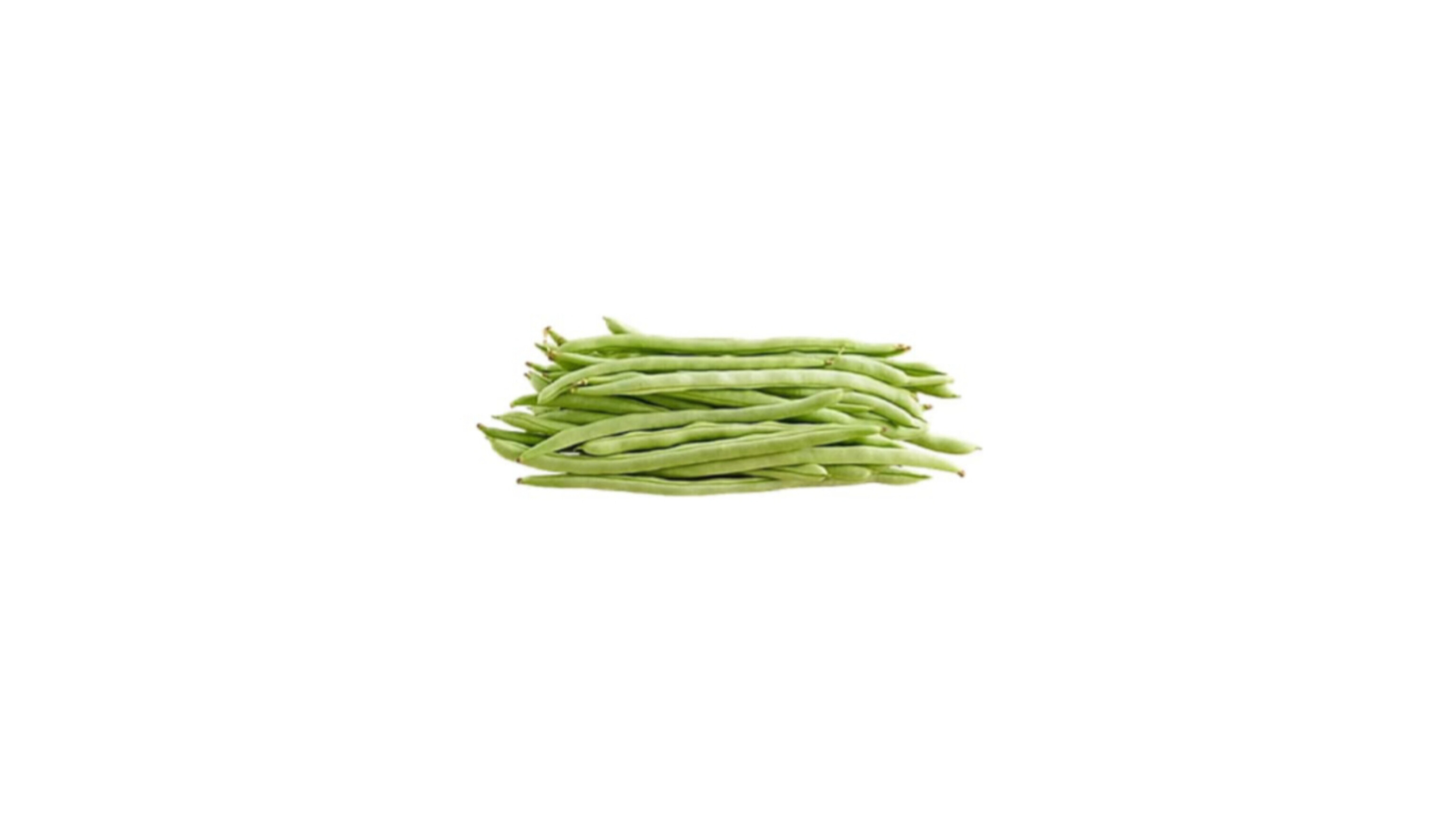 Beans French