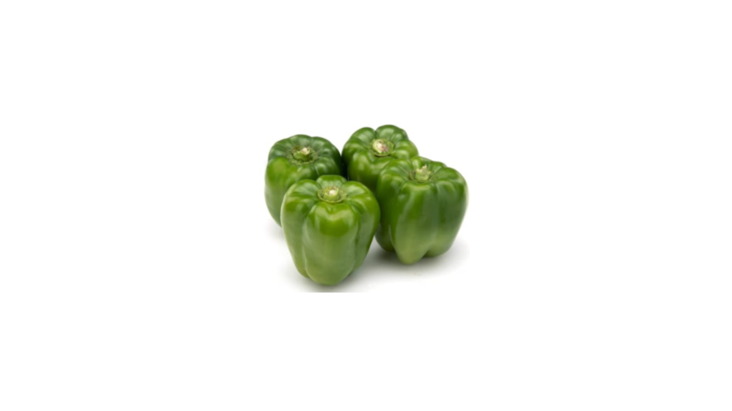 Capsicum