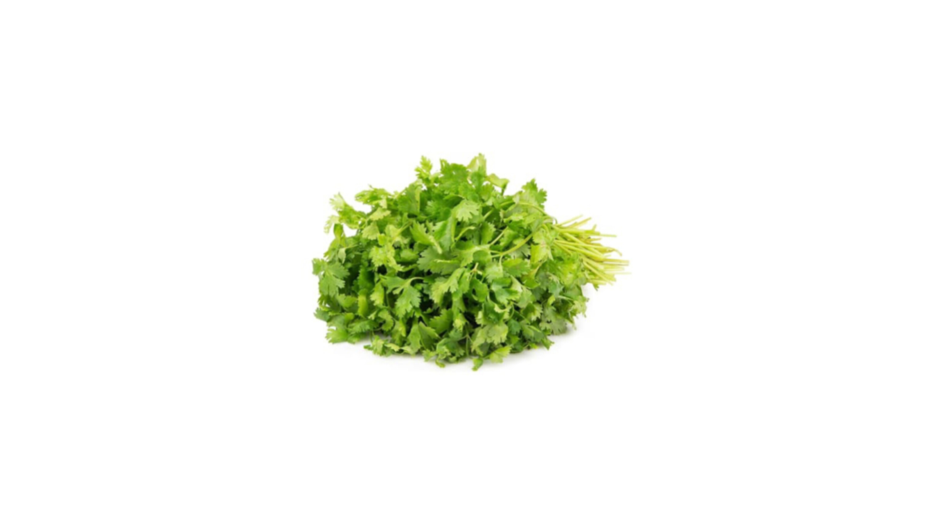 Coriander Leaves