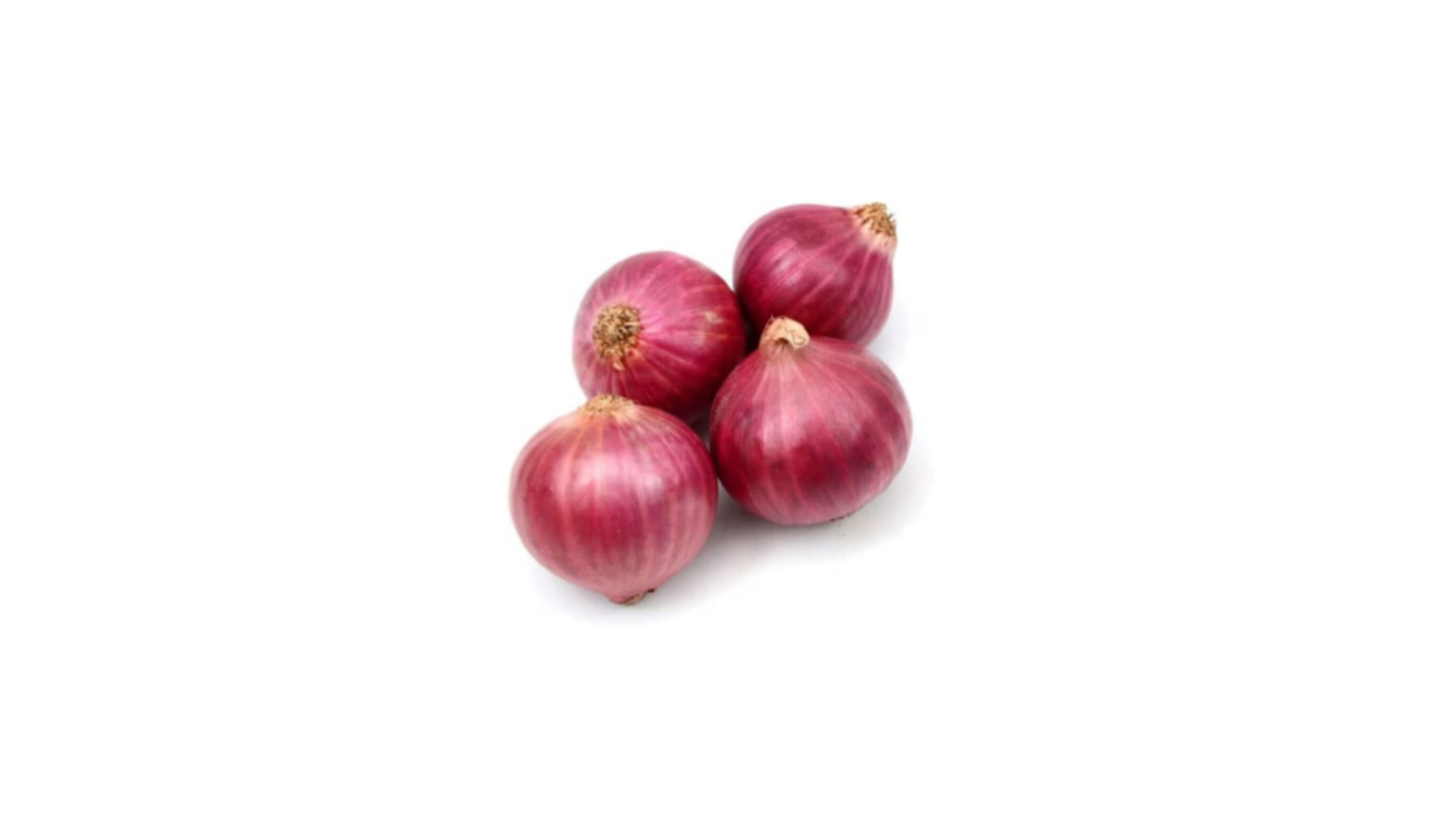 Onion