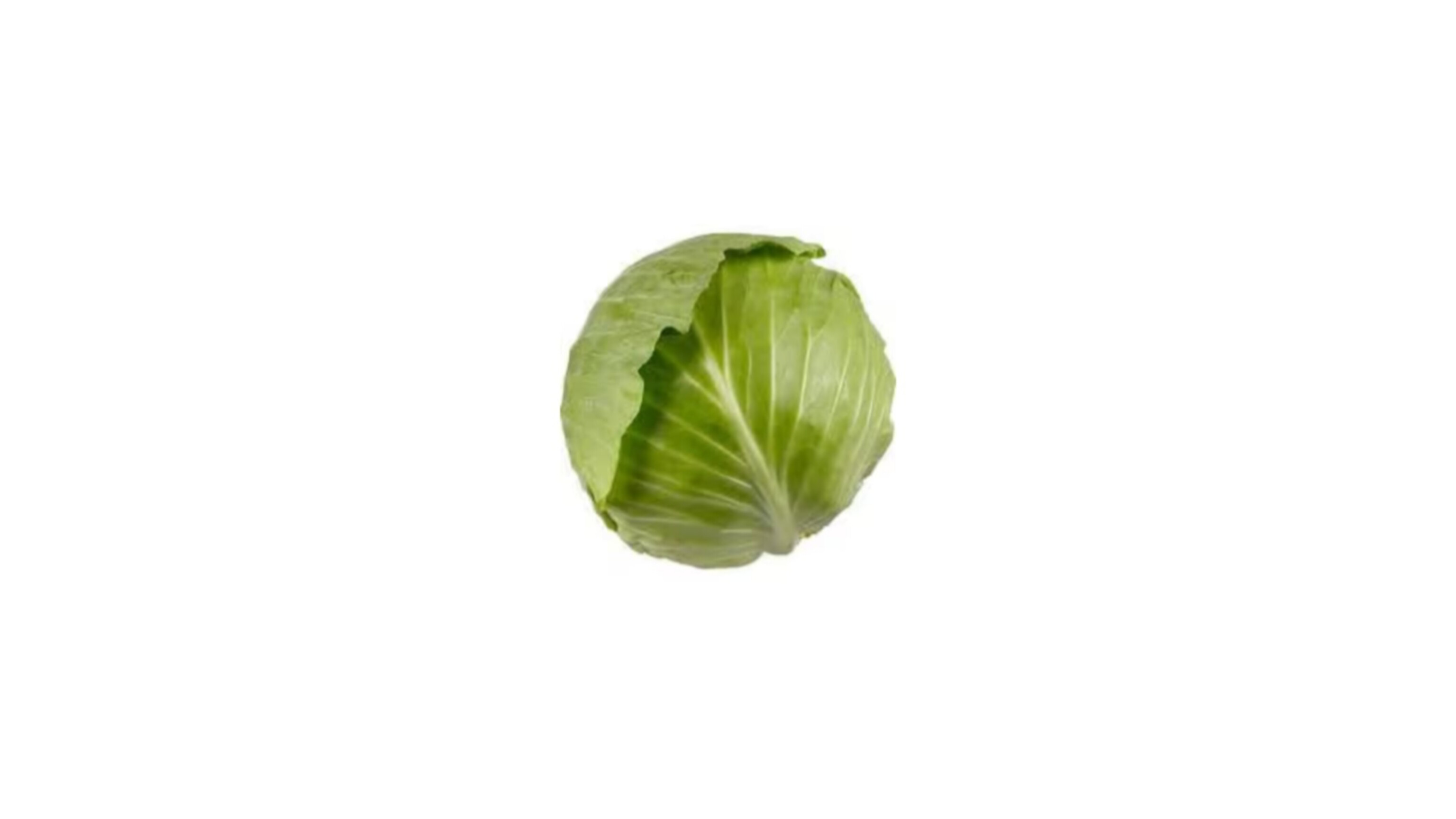 Cabbage