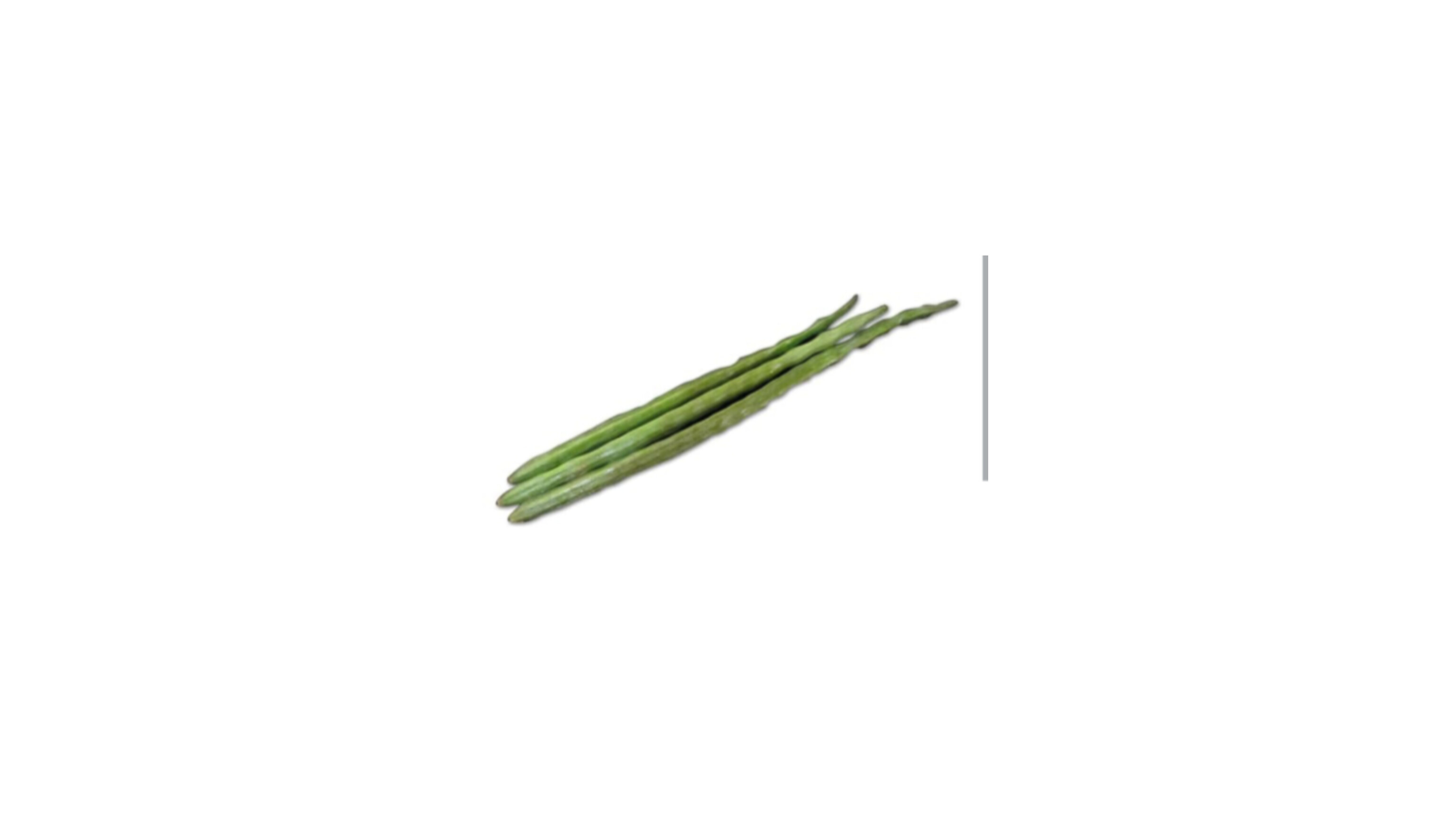 Drum stick