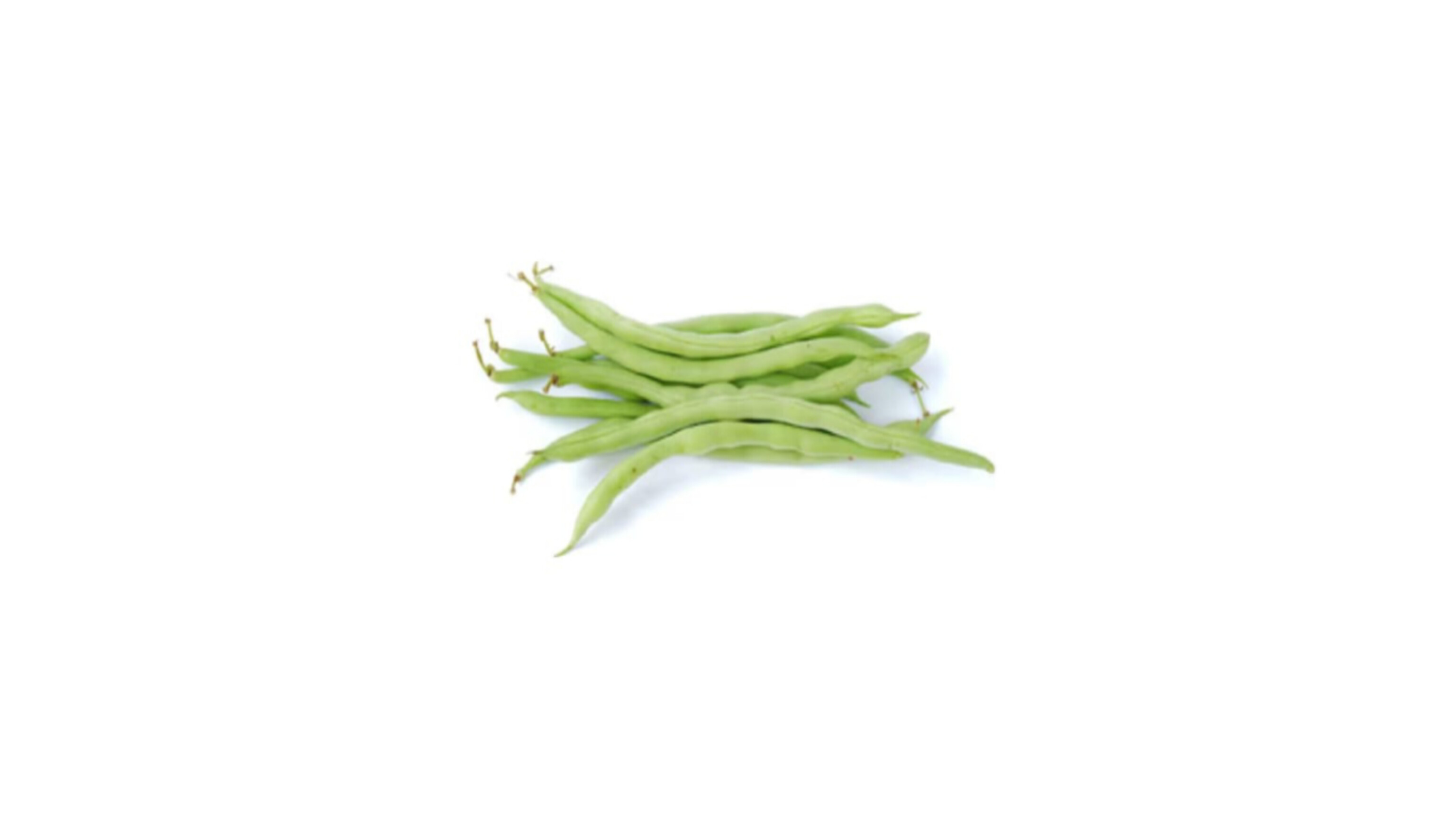 Beans French