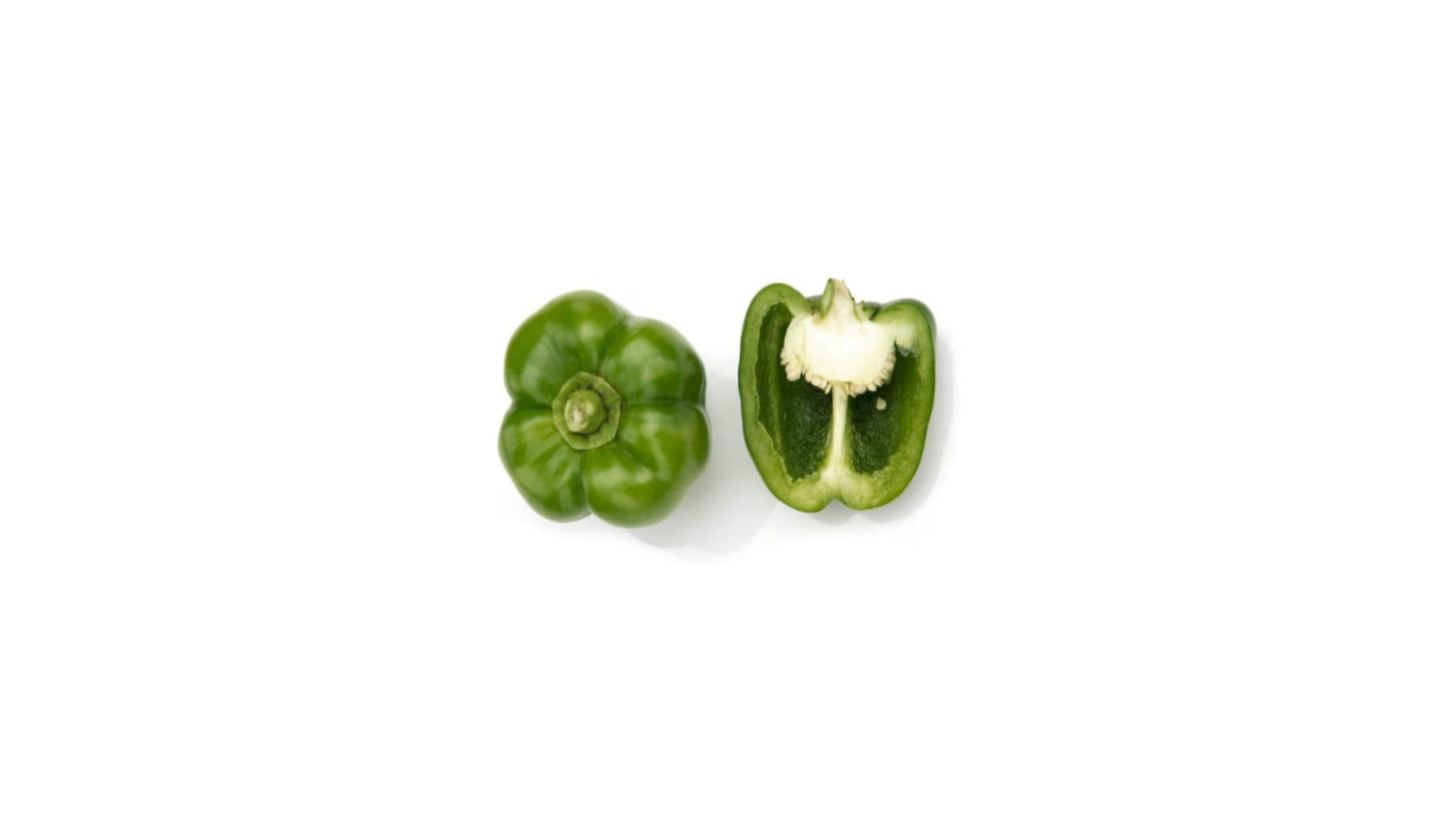 Capsicum